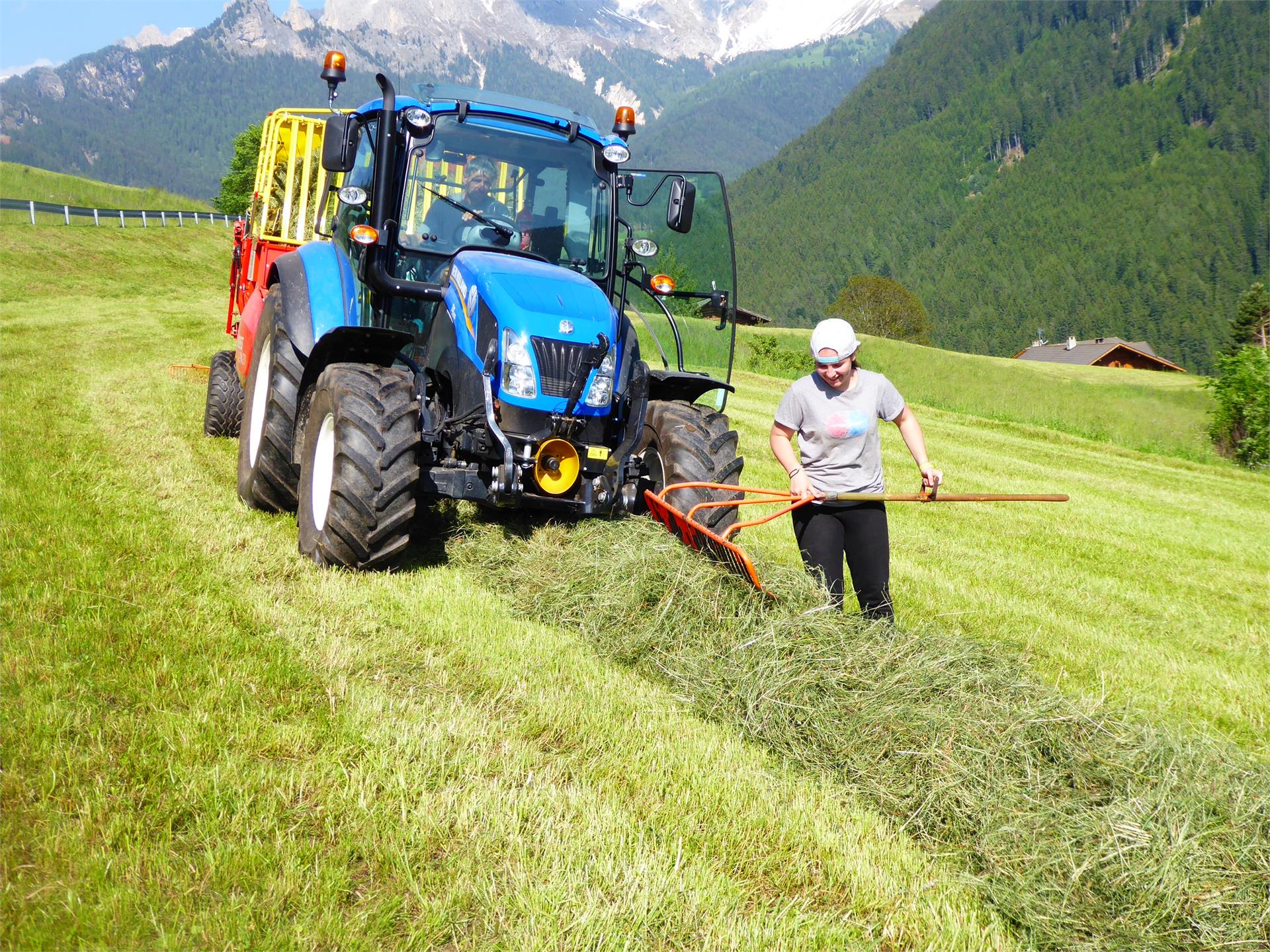 Koflerhof Ferienwohnung Tiers am Rosengarten 20 suedtirol.info