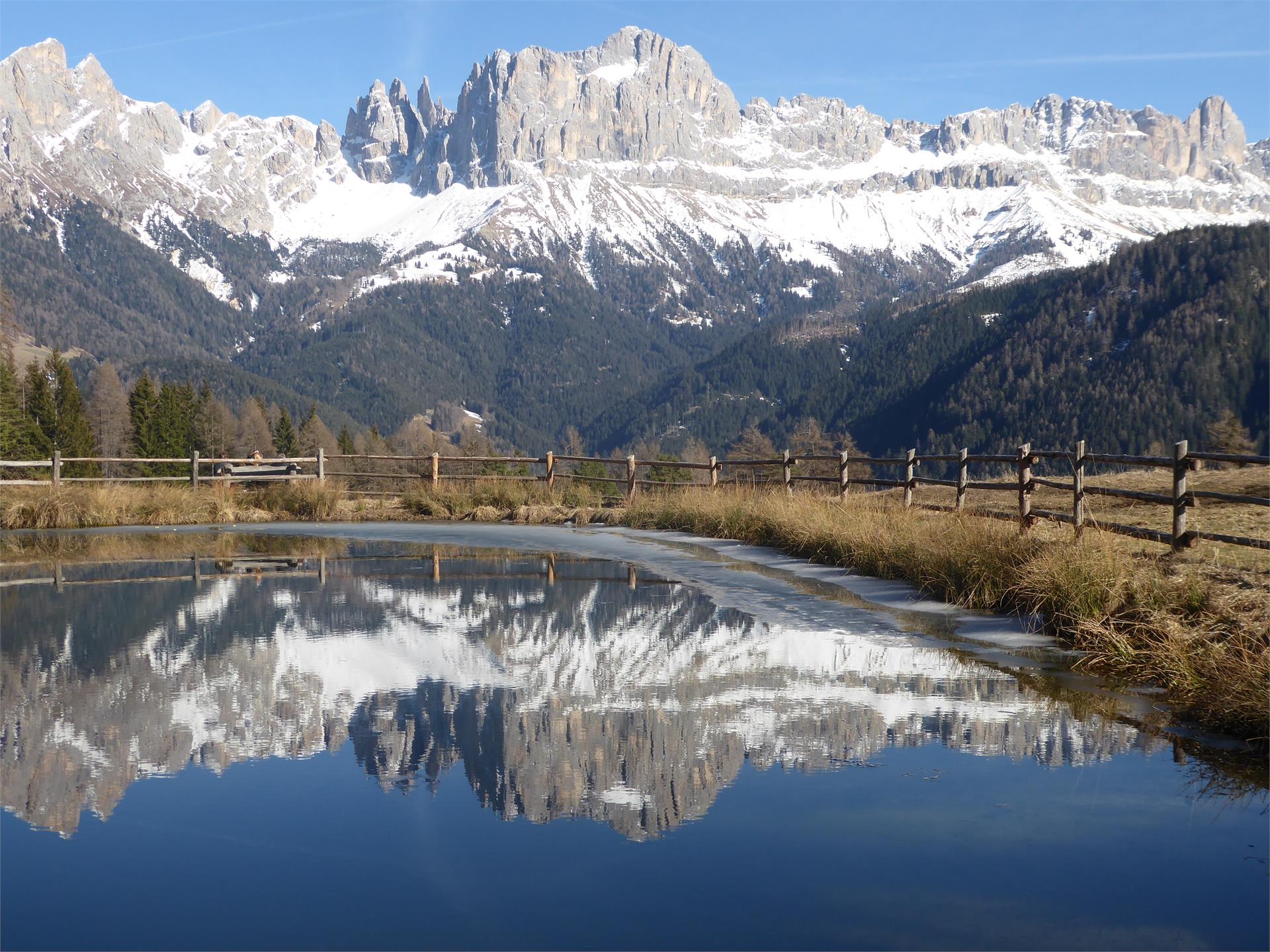 Koflerhof Ferienwohnung Tiers am Rosengarten 29 suedtirol.info