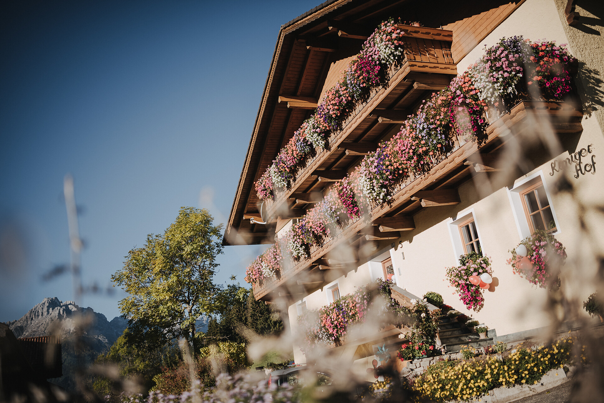 Kinigerhof