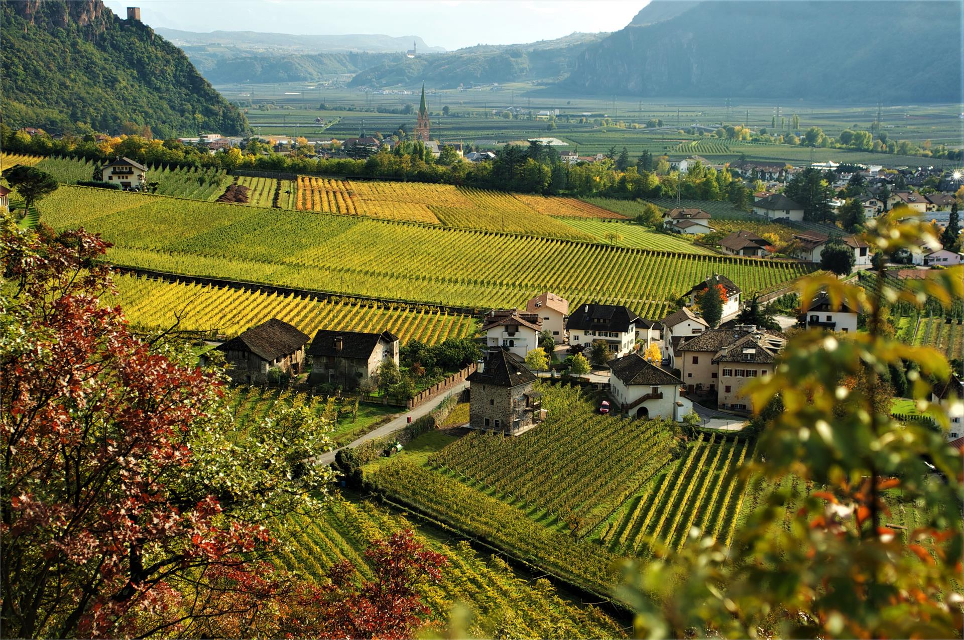 Kreutnerbinderhof Terlan/Terlano 2 suedtirol.info