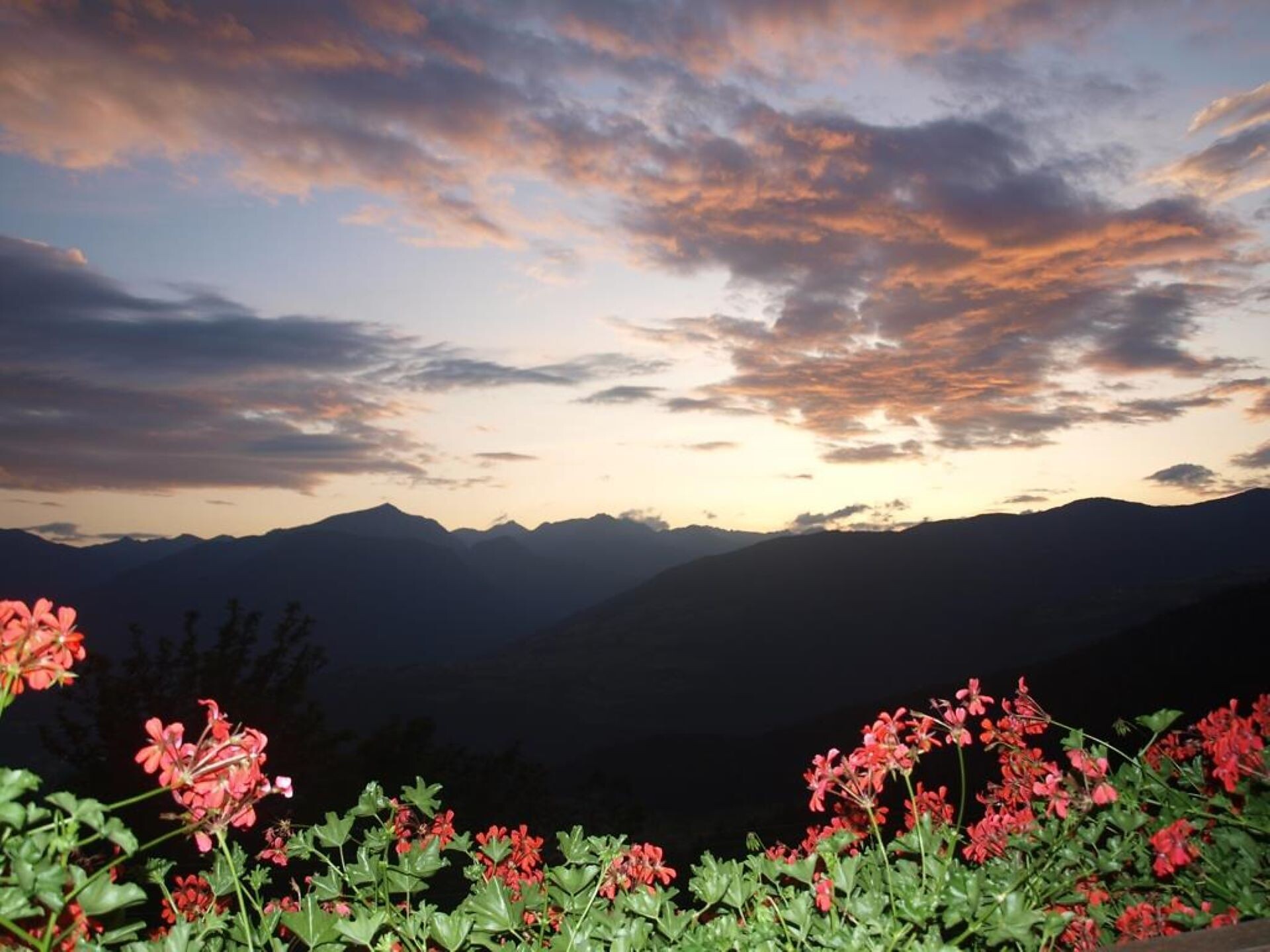 The panoramic view