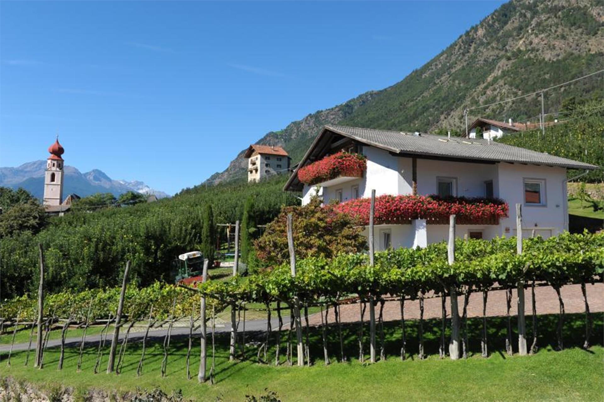 Klostergut Castelbello-Ciardes 6 suedtirol.info