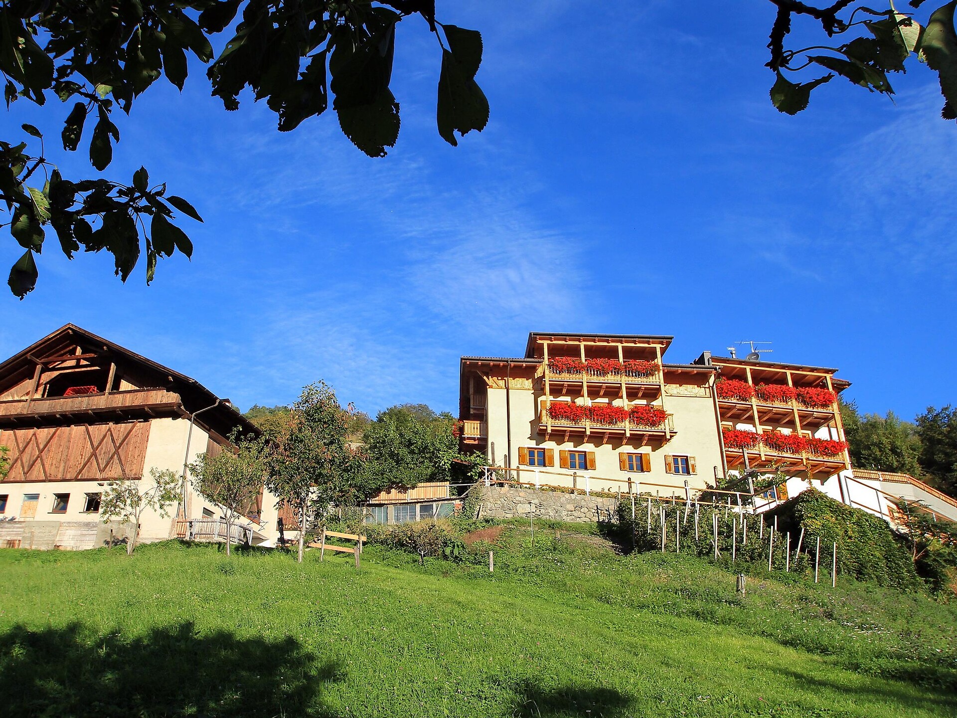 Kinnhof