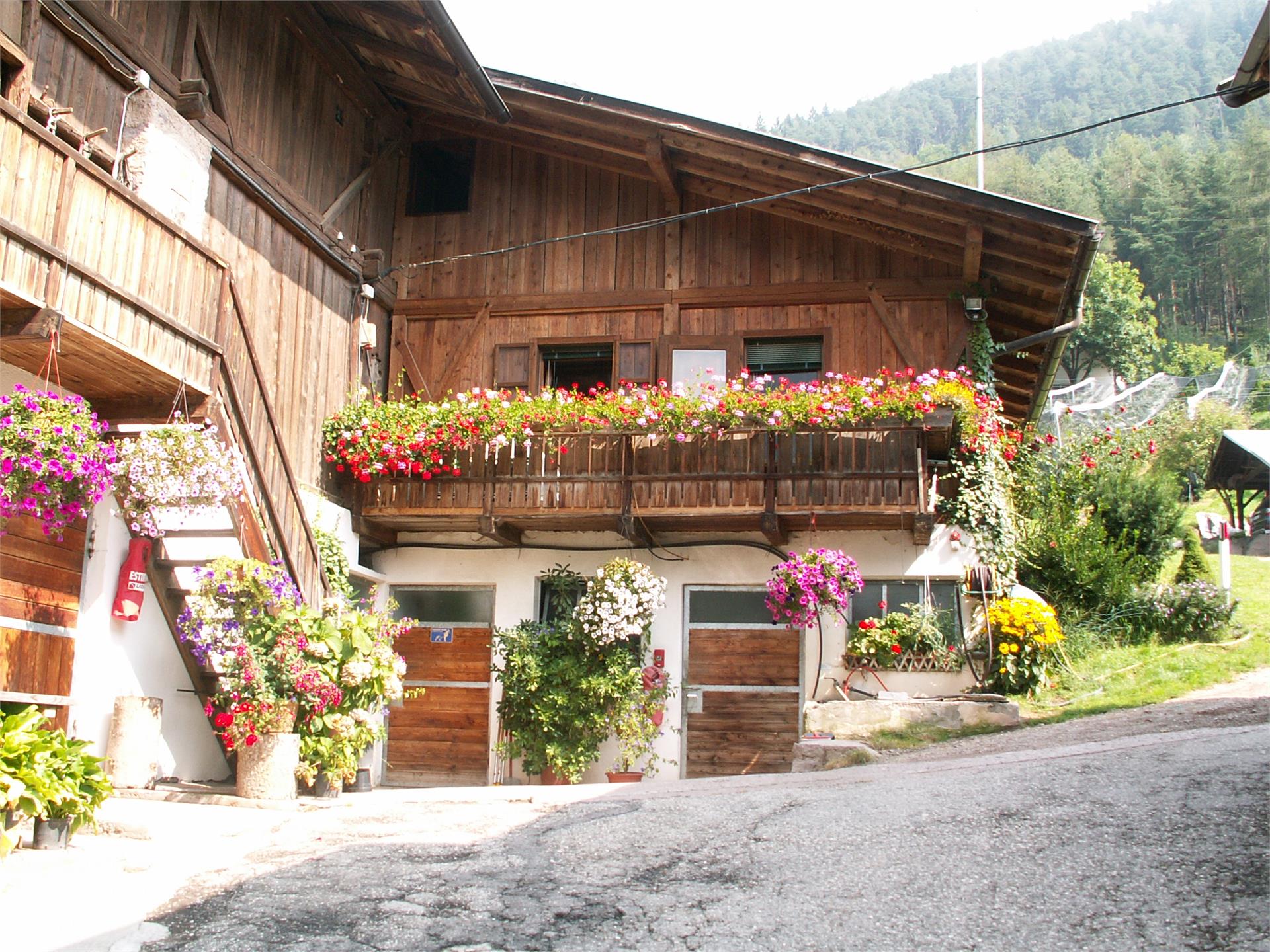 Kohlerhof Jenesien 1 suedtirol.info