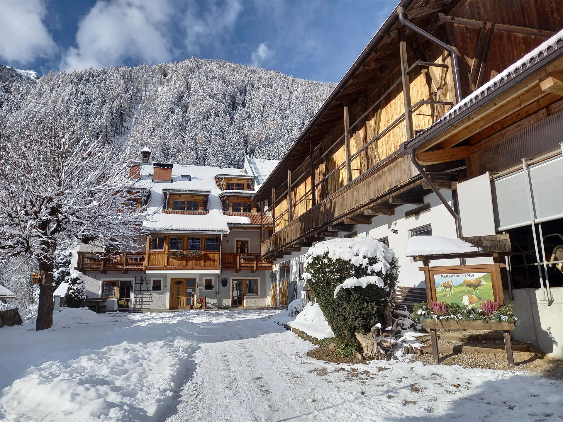 Kaltenhauserhof Rasun Anterselva 1 suedtirol.info