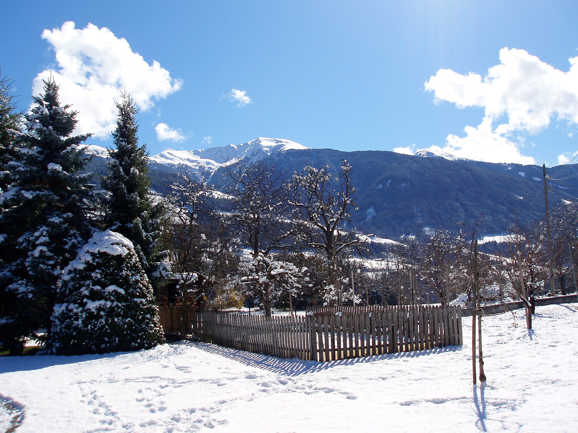 Winter