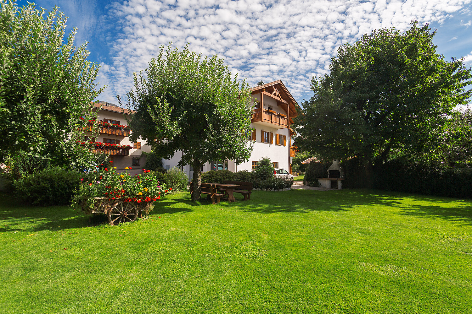 garden