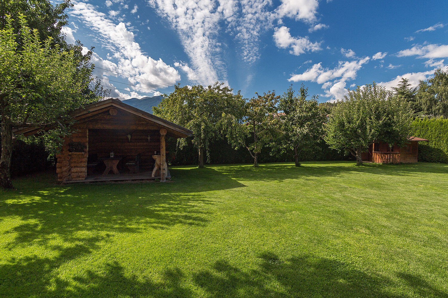 garden