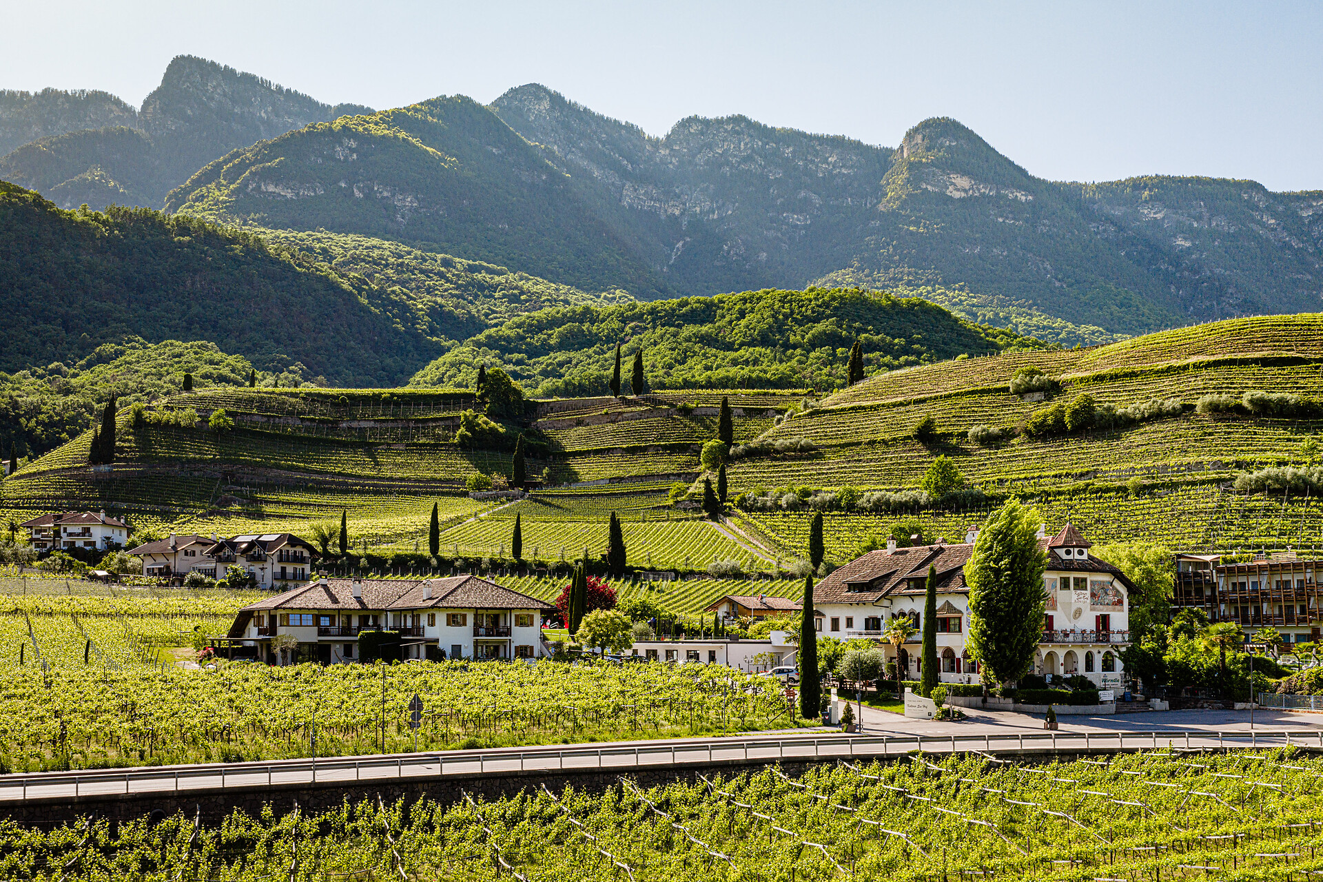 Kalterer See Hof - Strada del Vino - #18 - suedtirol.info
