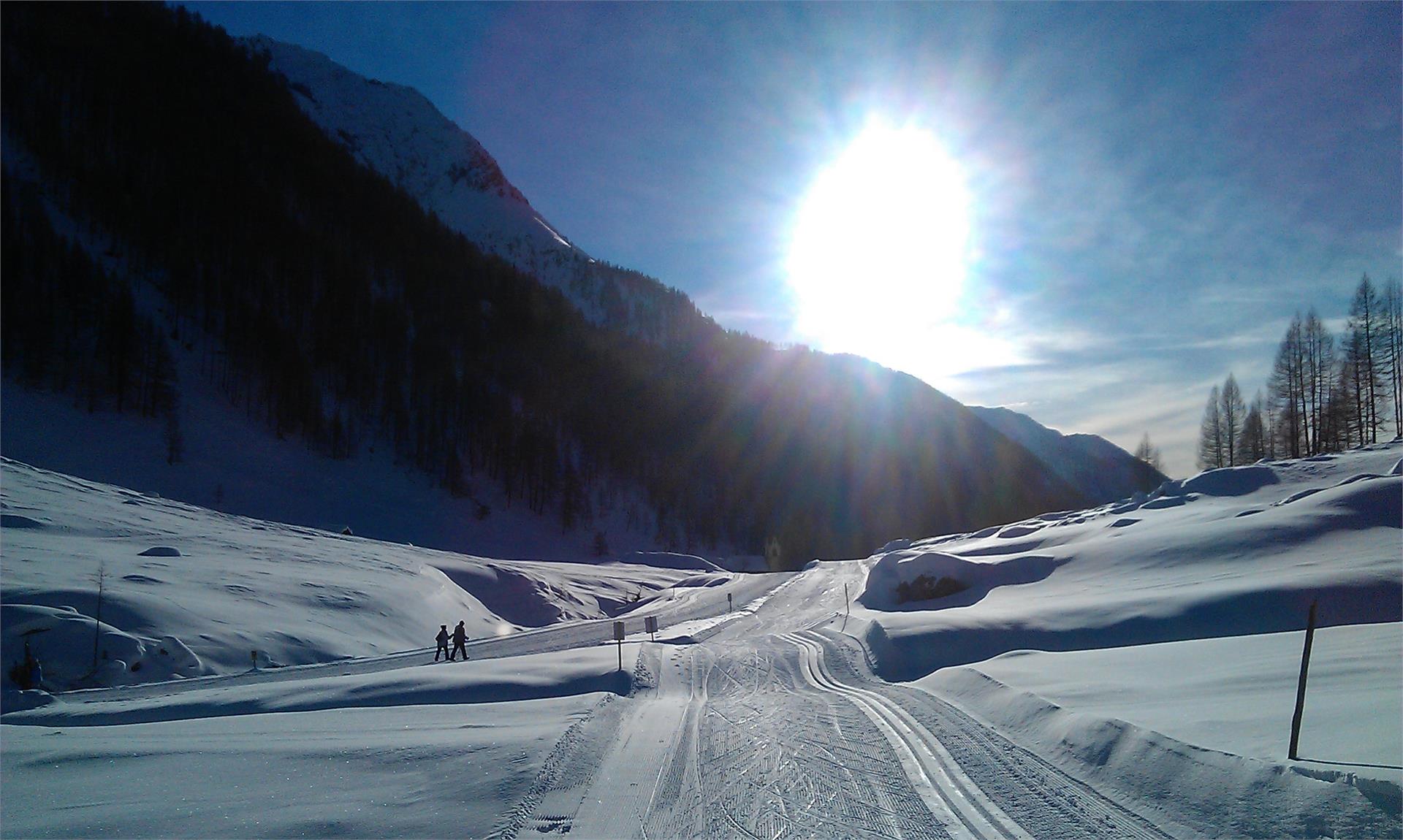 Krahbichl Biohof Predoi 10 suedtirol.info