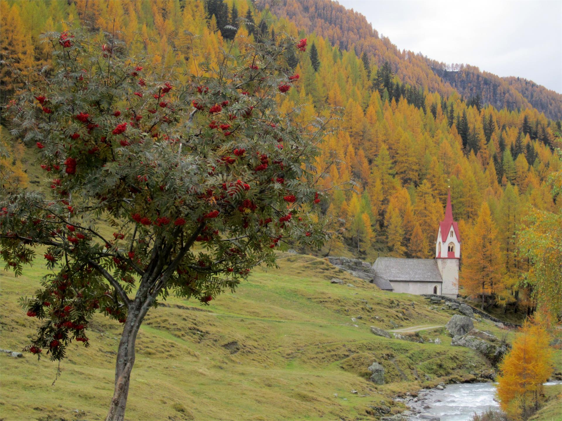 Krahbichl Biohof Predoi 8 suedtirol.info