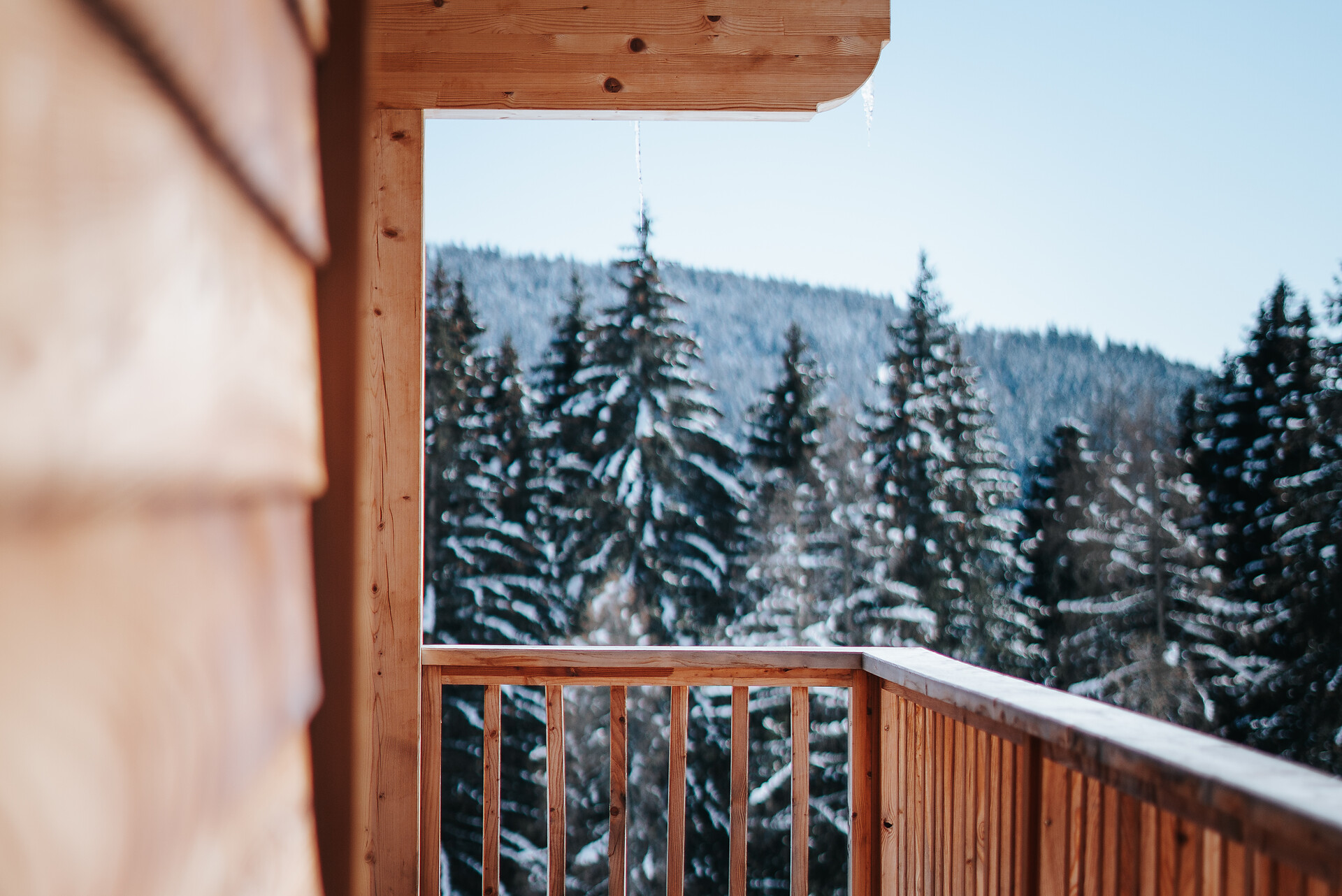 winter wonder land