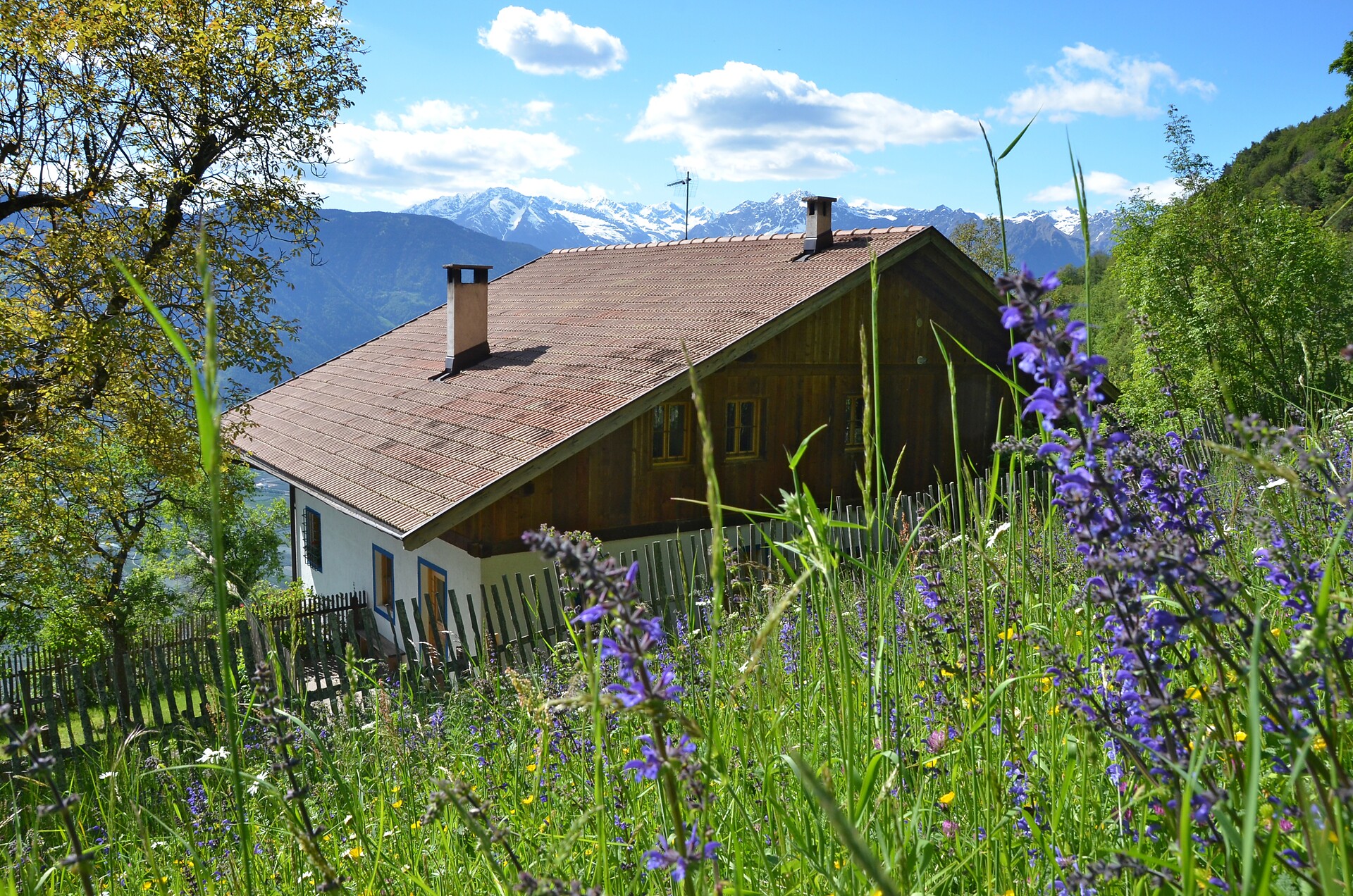 Holidays in the house Kohlstatt Hütte in Verano/Vöran, South Tyrol
