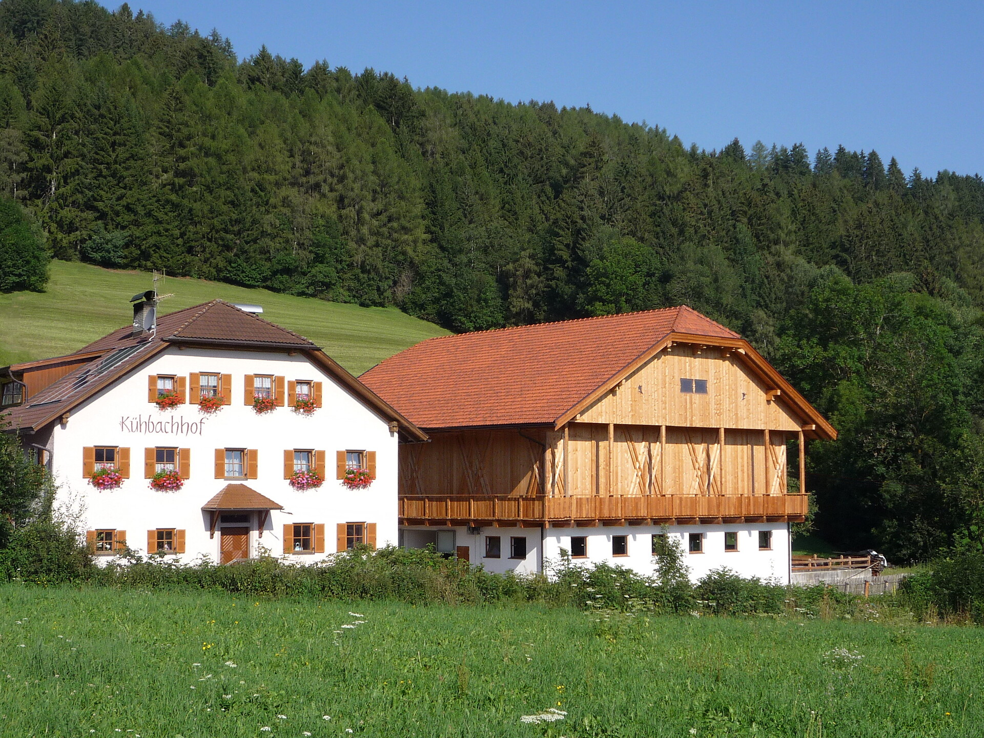 Il maso in estate