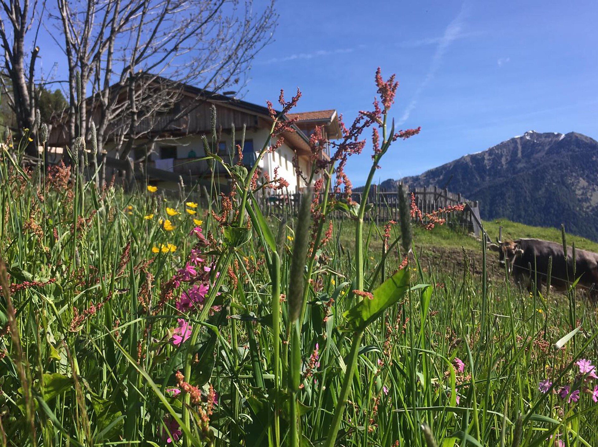 Knappnhof