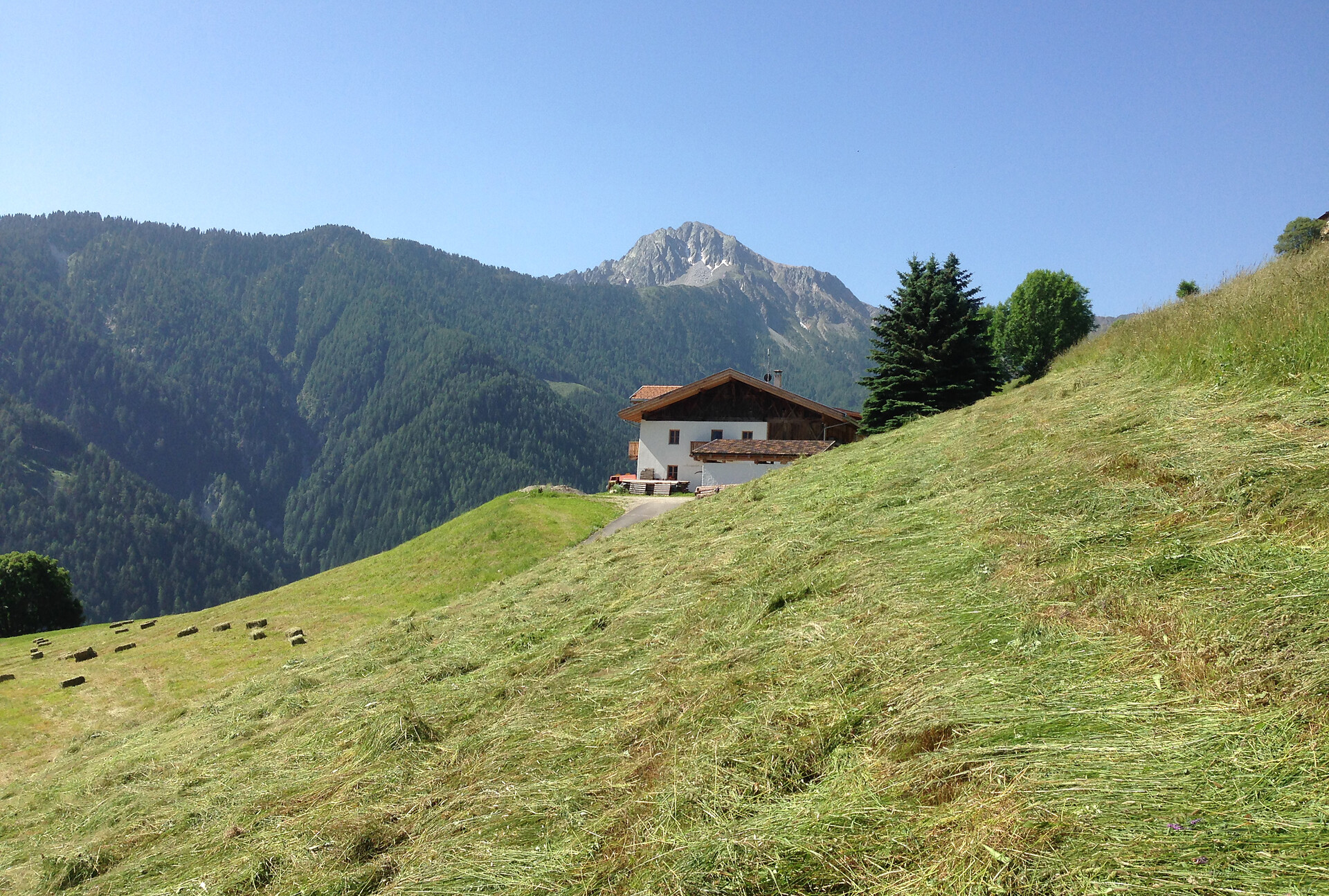 Vista monte estate