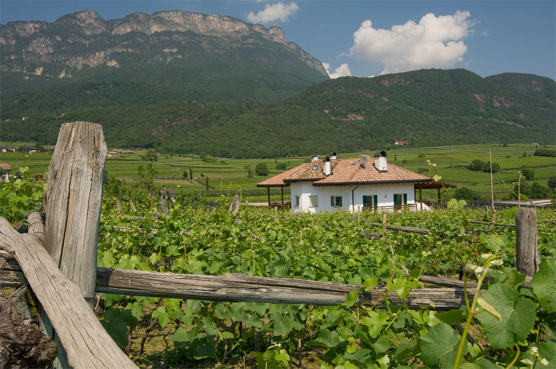 Kesslhof Kaltern an der Weinstraße/Caldaro sulla Strada del Vino 7 suedtirol.info