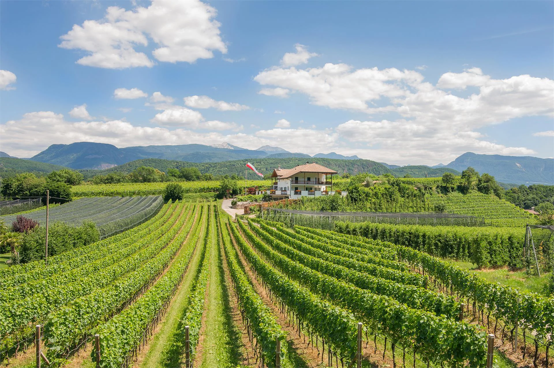 Kesslhof Kaltern an der Weinstraße/Caldaro sulla Strada del Vino 14 suedtirol.info