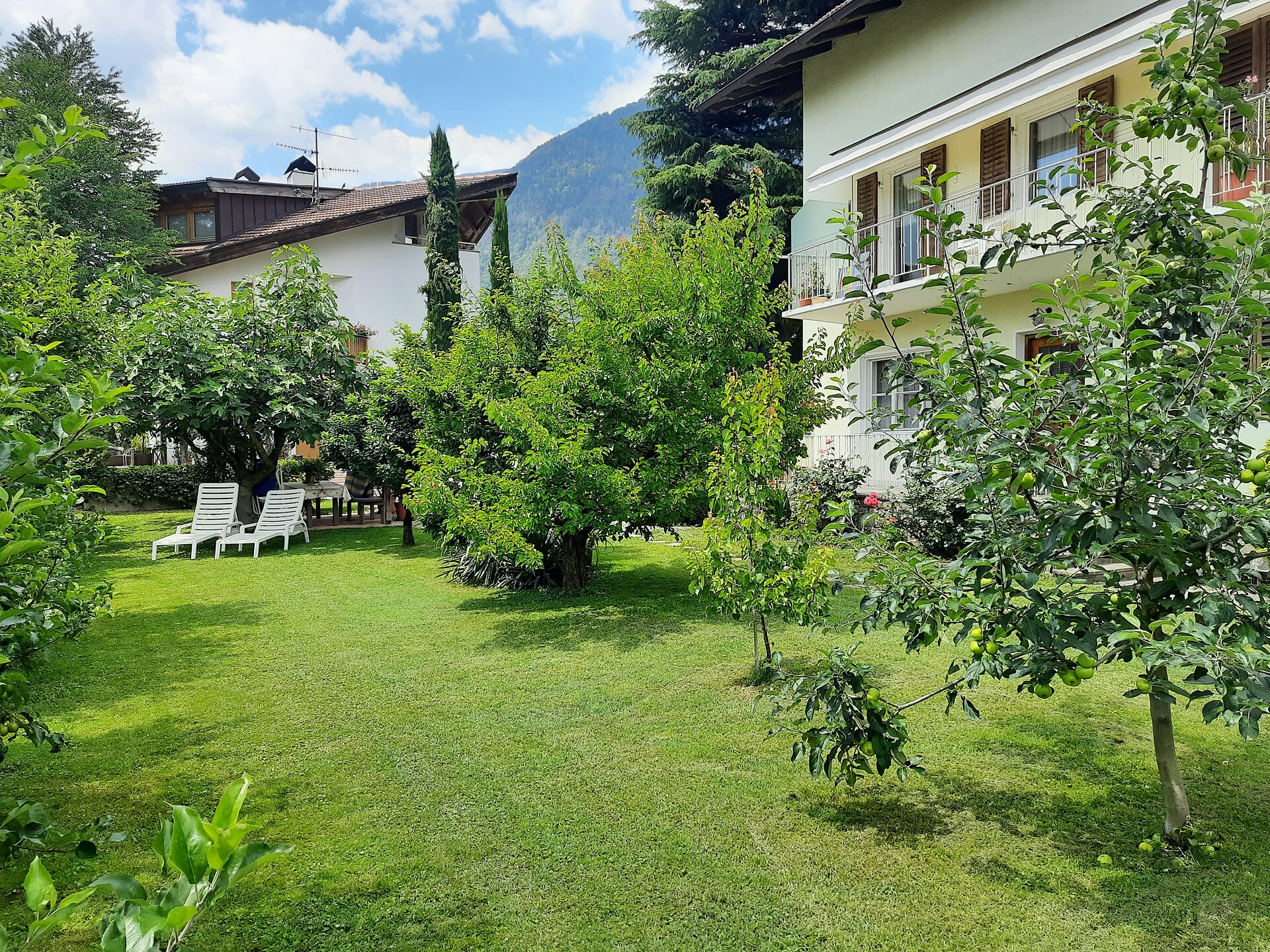 Garten