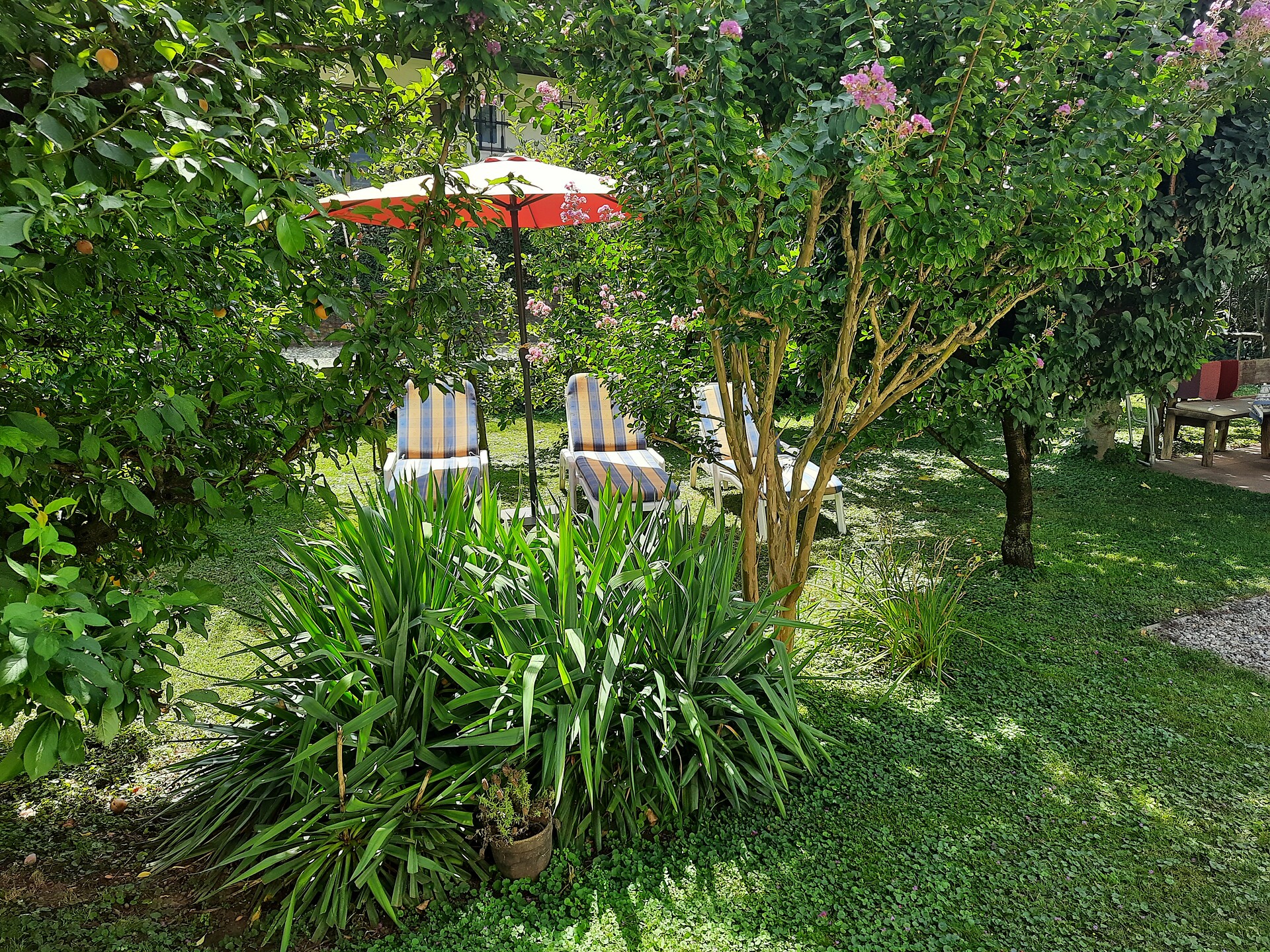 Garten