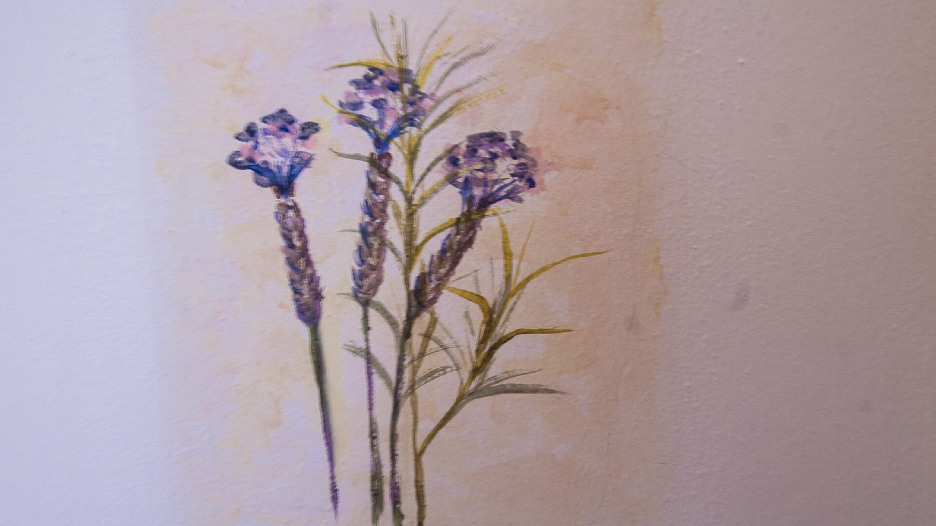 Lavendel