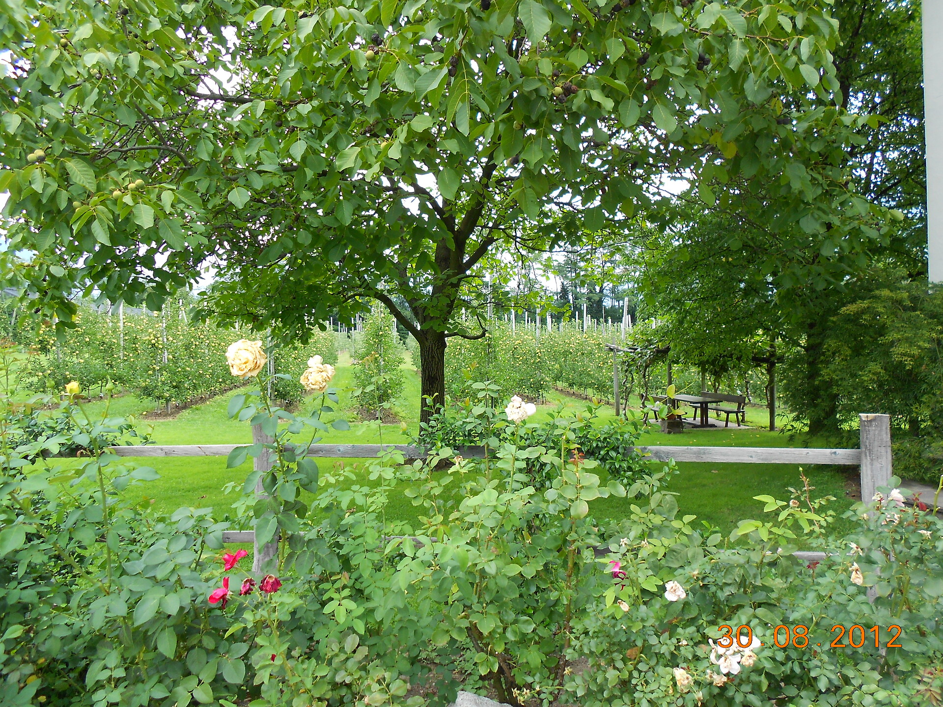 Kapplerhof