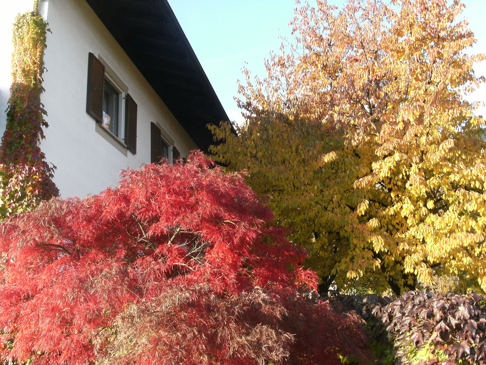 autumn