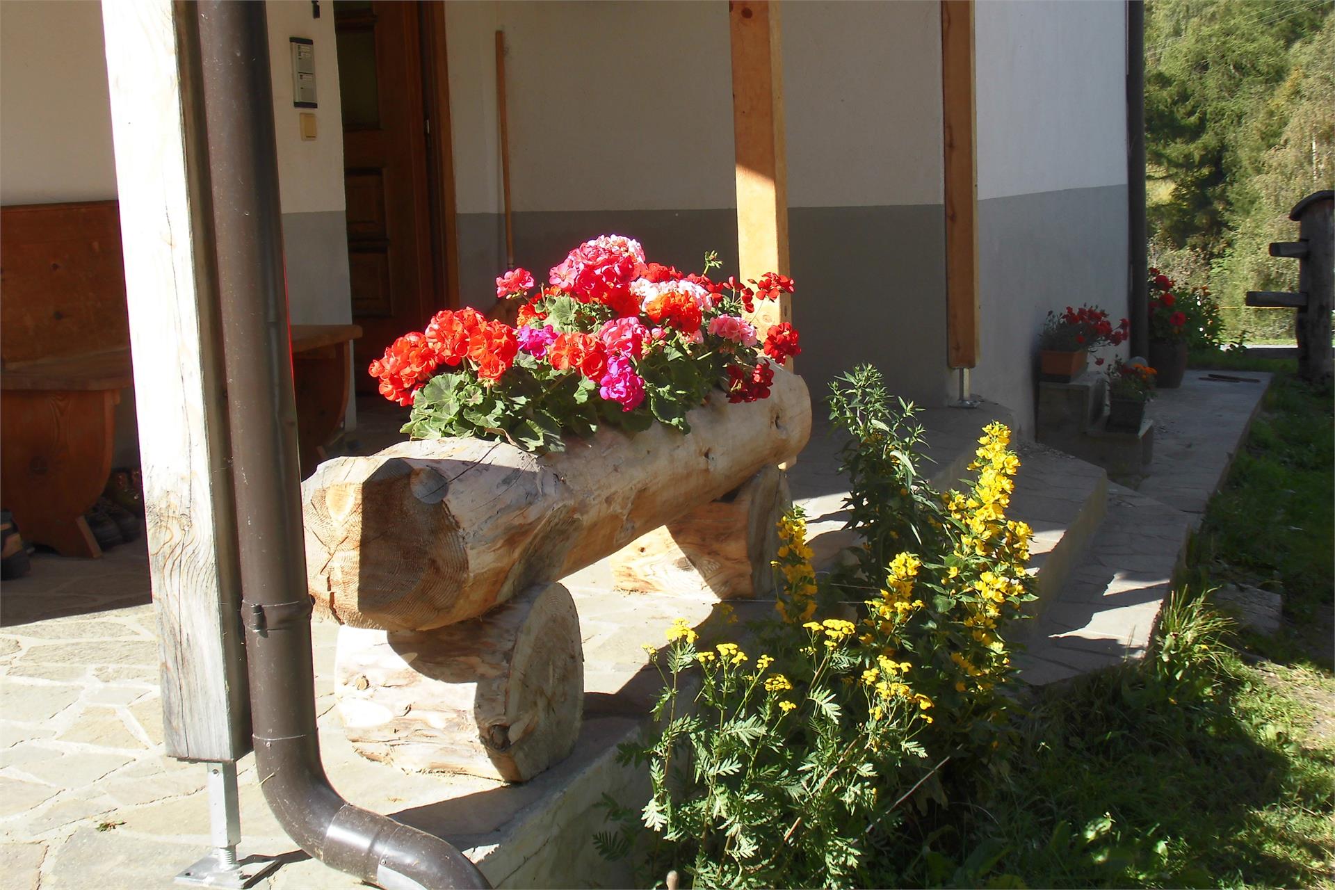Kofler Alfred Mals 8 suedtirol.info