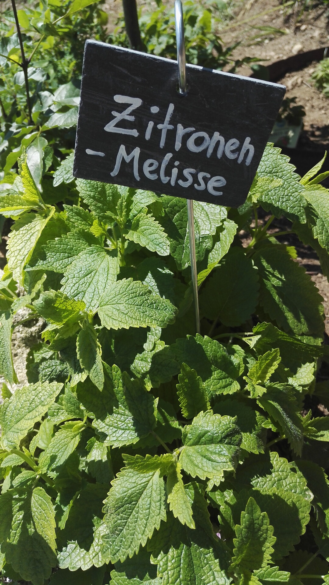 Kerschbamerhof