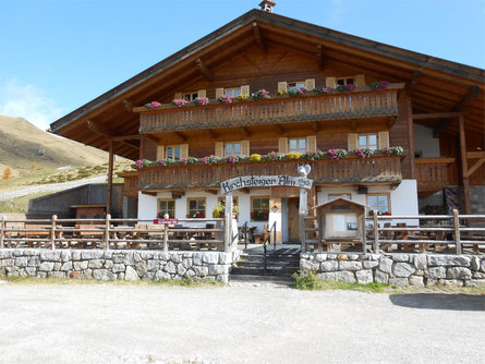 Kirchsteiger Alm Alpine hut Hafling/Avelengo 1 suedtirol.info