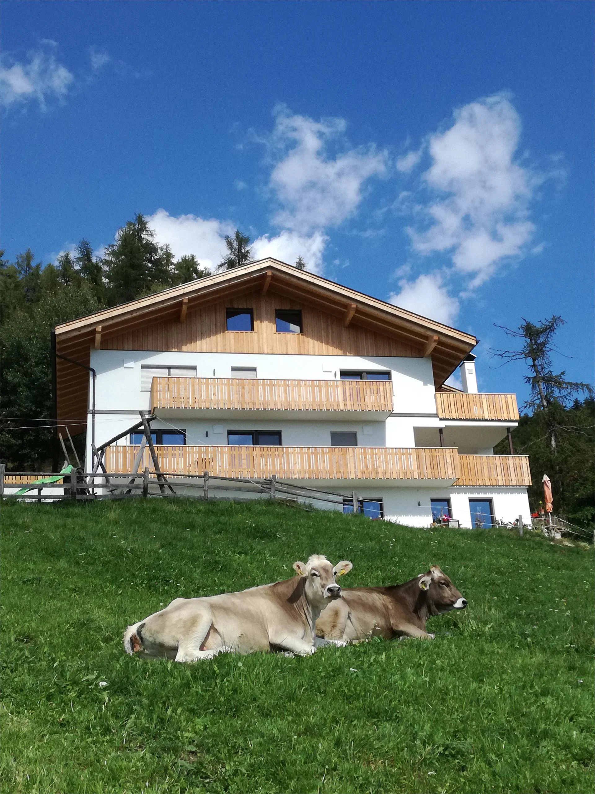 Kühhof Klausen/Chiusa 1 suedtirol.info