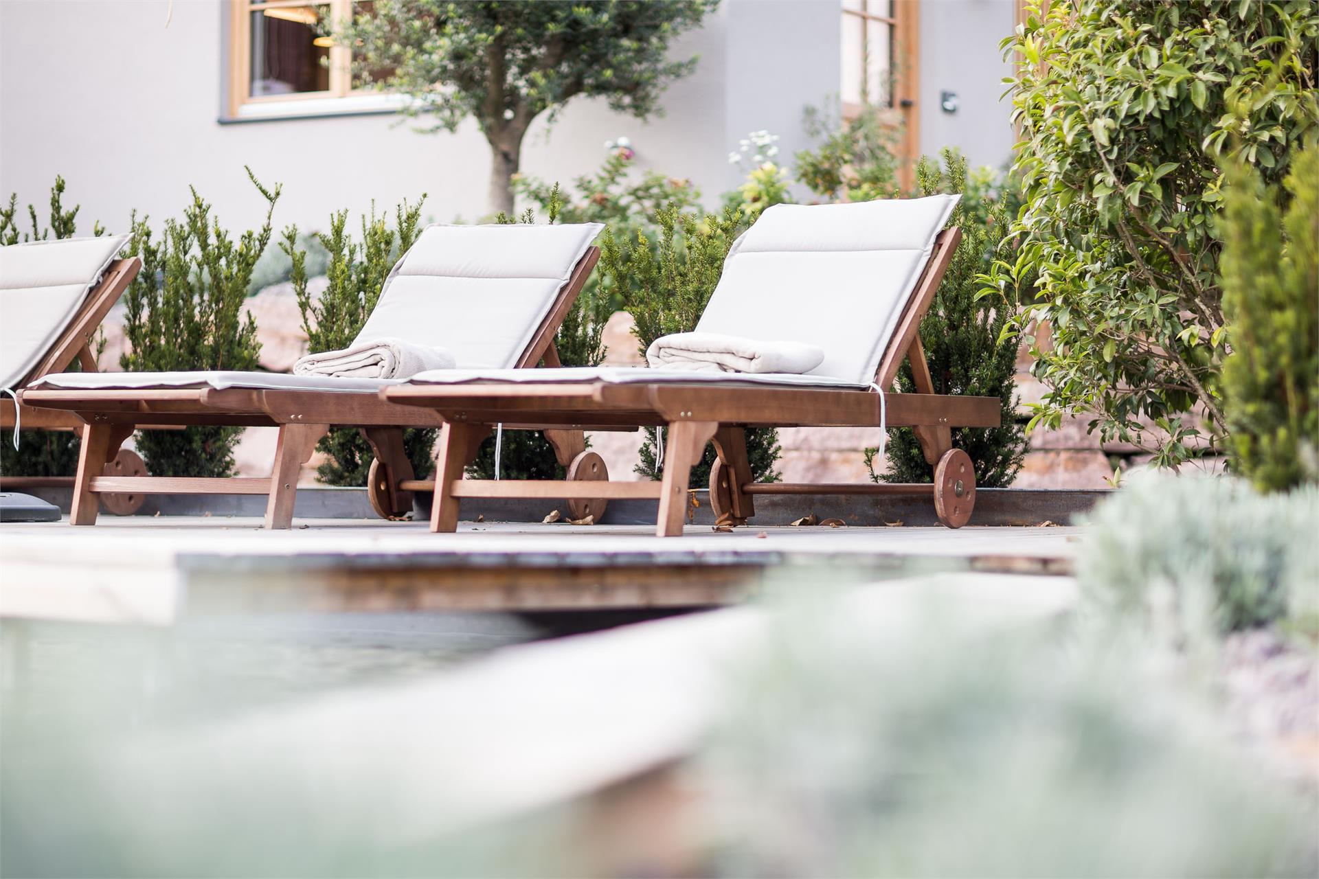 Kräutererbe Bacherhof Nals 12 suedtirol.info