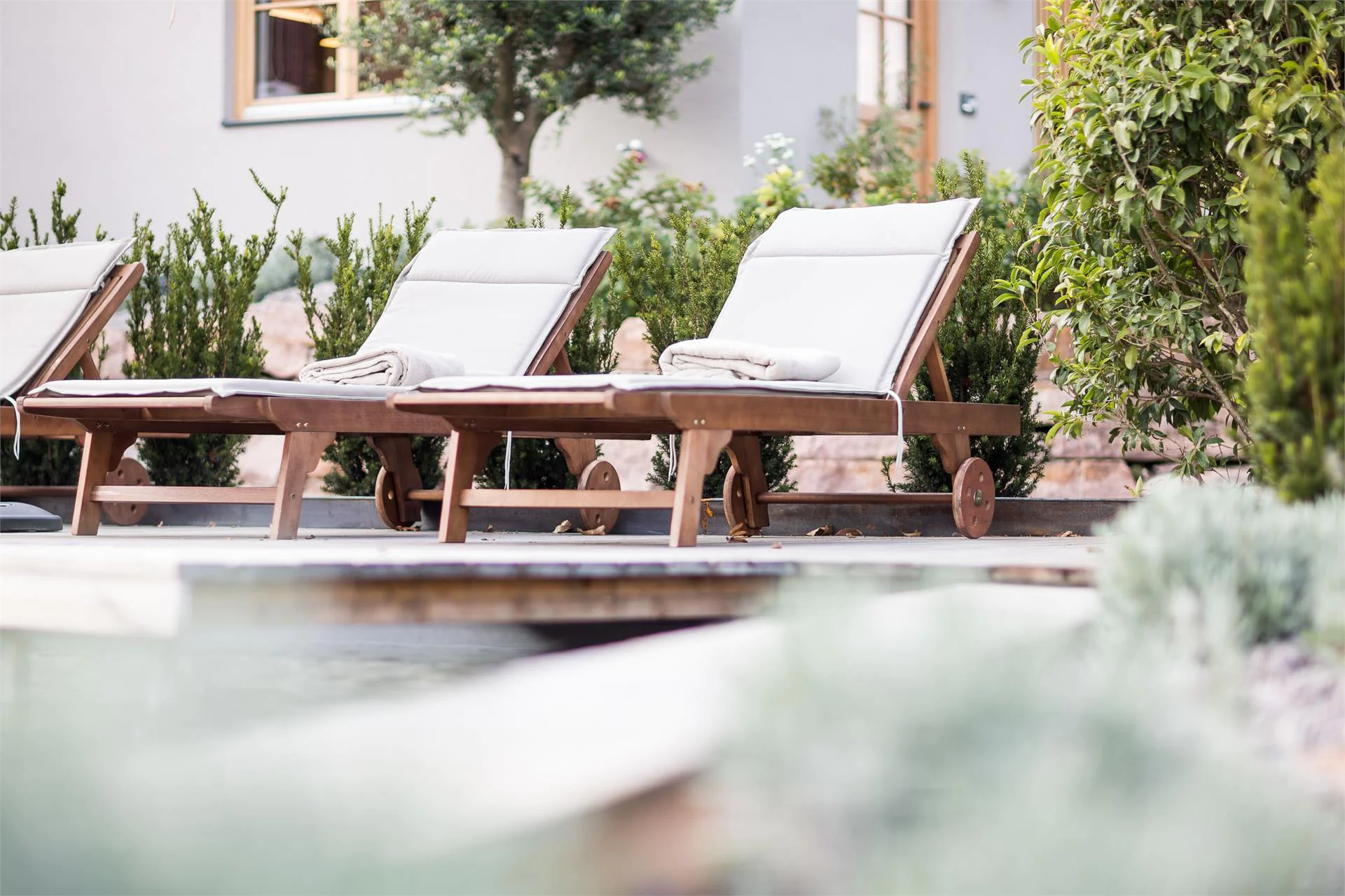 Kräutererbe Bacherhof Nals 12 suedtirol.info