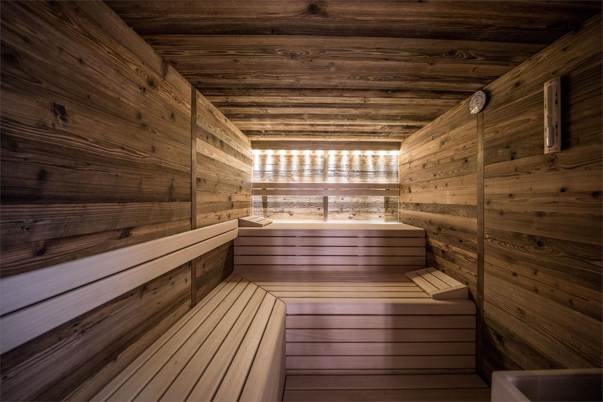 Kräutererbe Bacherhof Nals 8 suedtirol.info