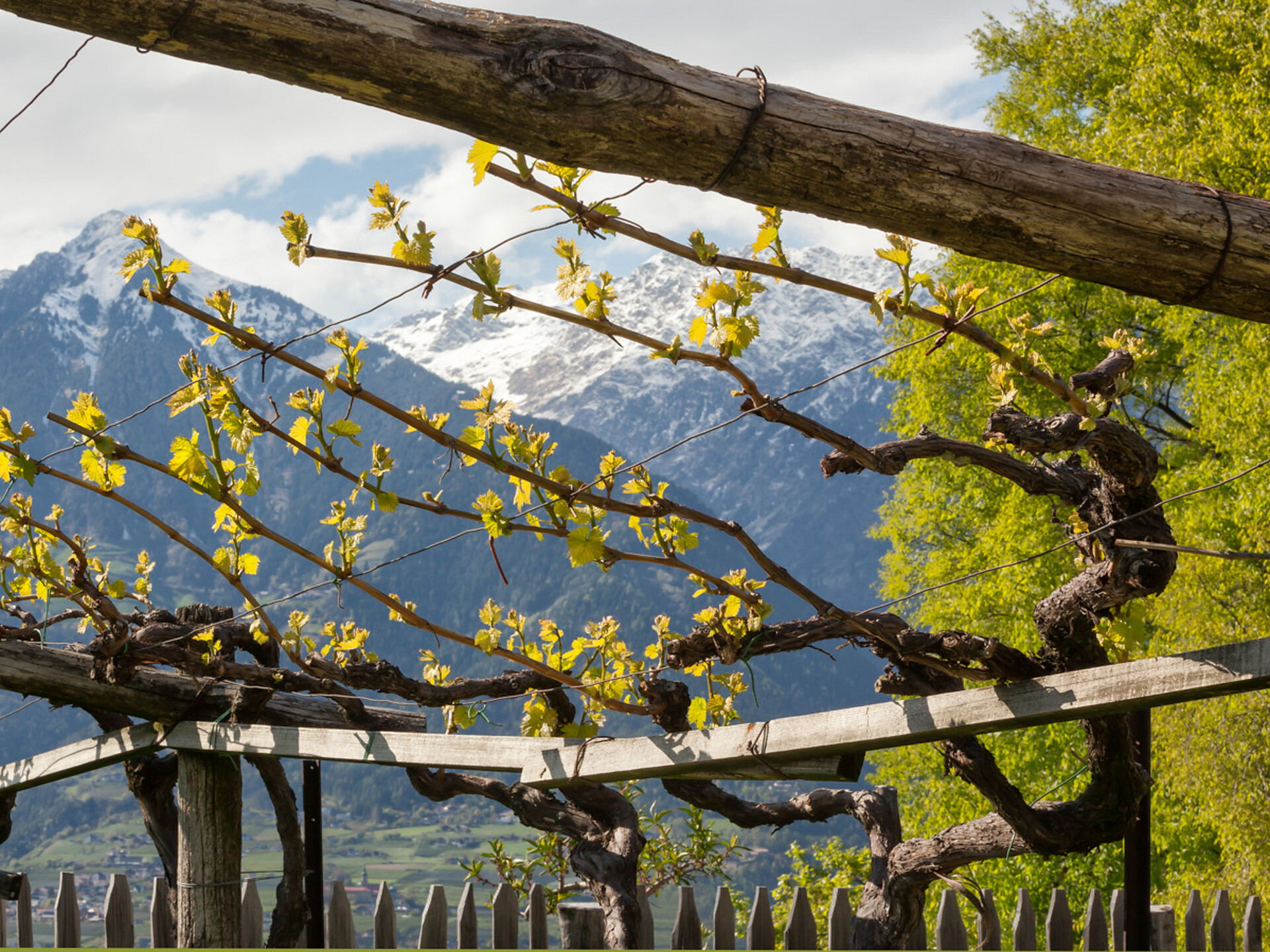 Kiendlhof - Meran und Umgebung - #10 - suedtirol.info