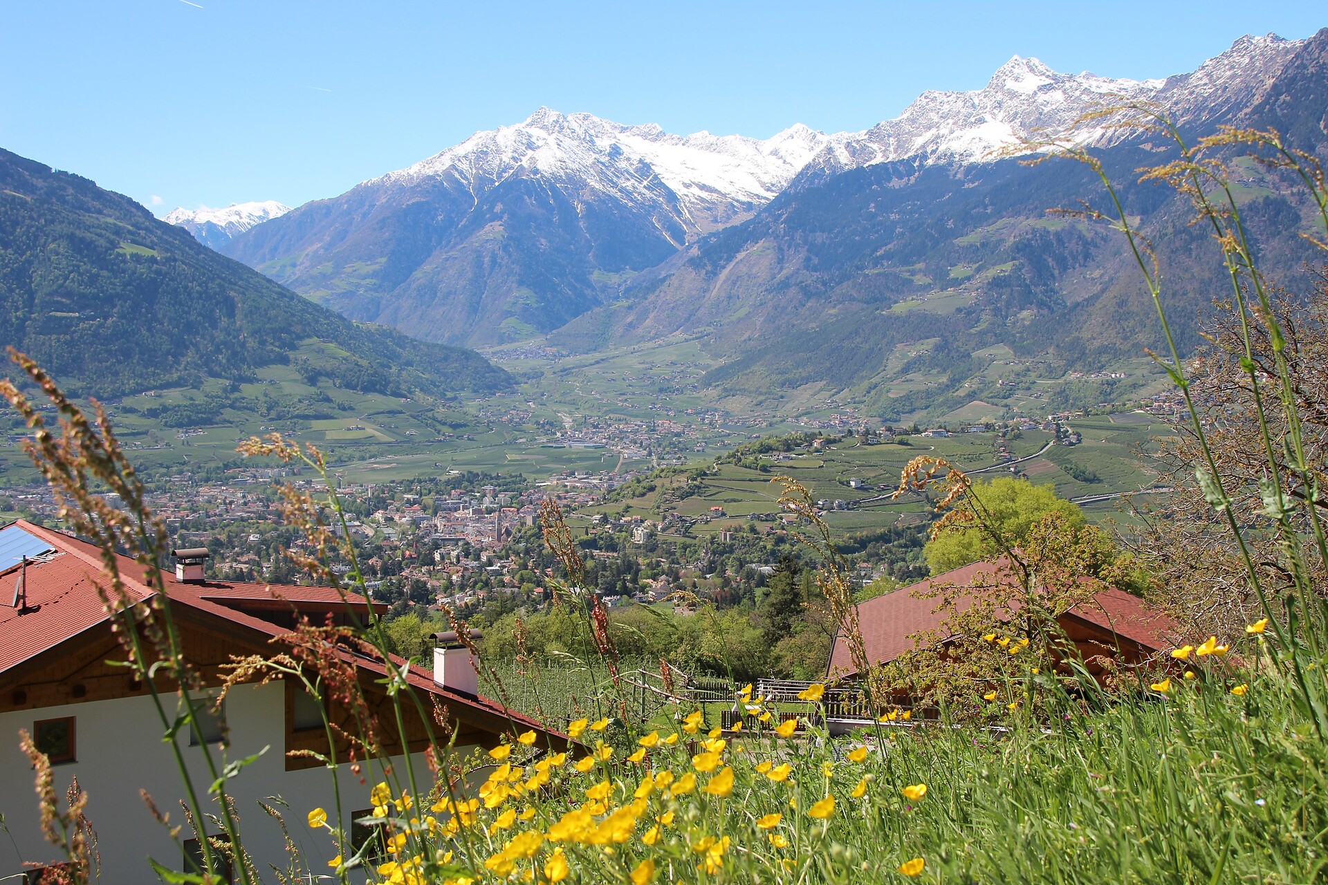 Vista panoramica
