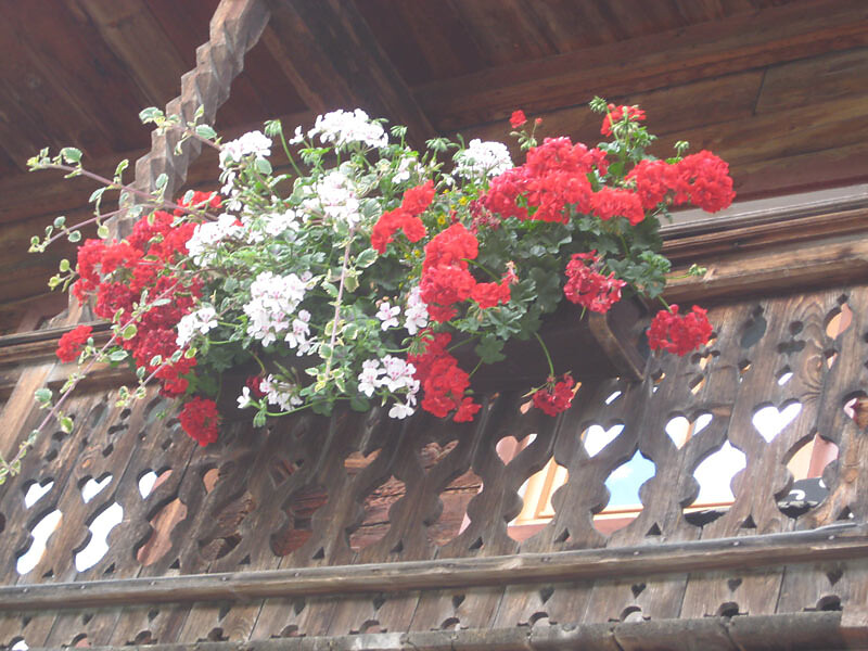 Balcony  / Ap. Wiese