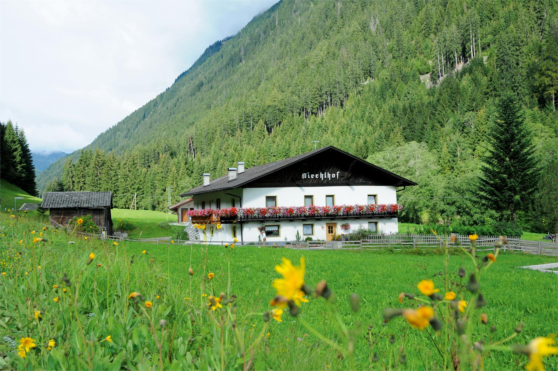 Kiechlhof Racines 1 suedtirol.info
