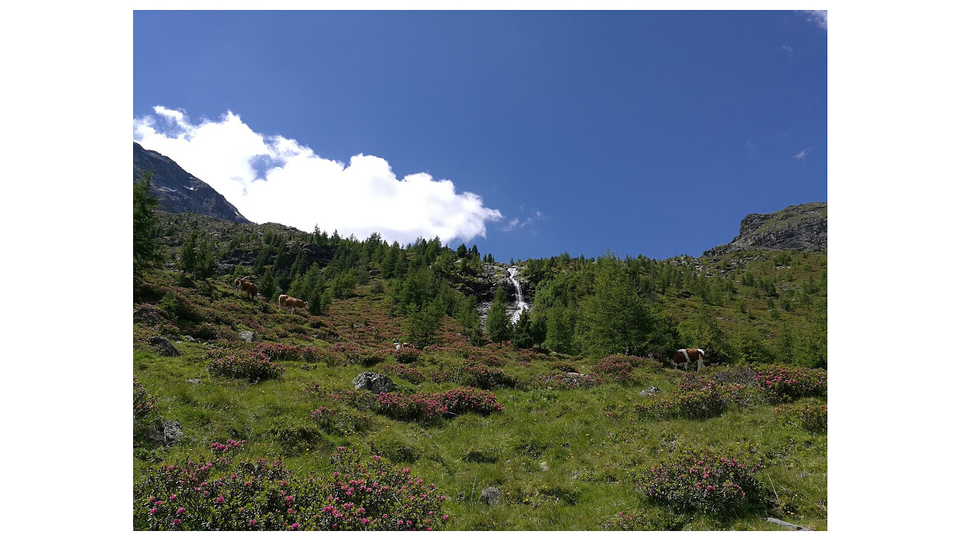 Rifugio Roma Riva di Tures