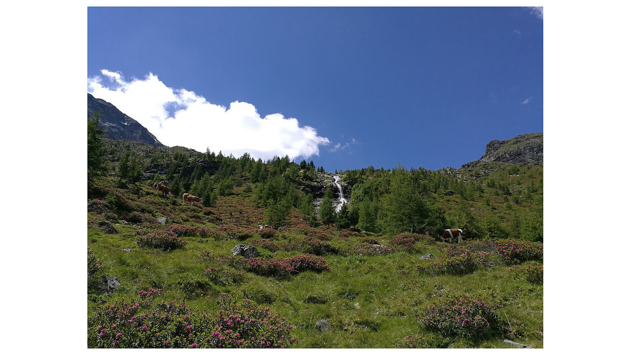Slide 2
