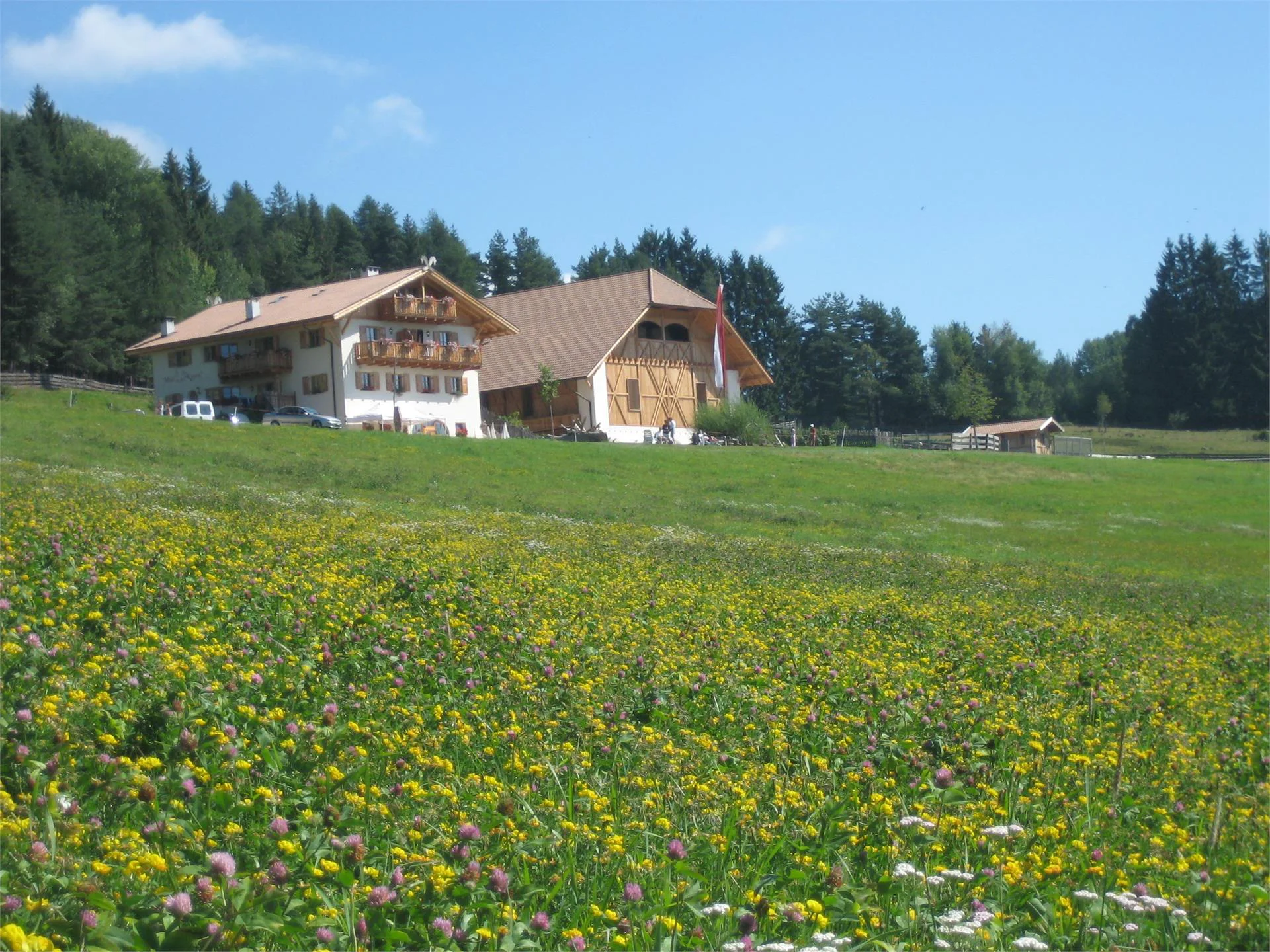 Kaserhof Renon 5 suedtirol.info