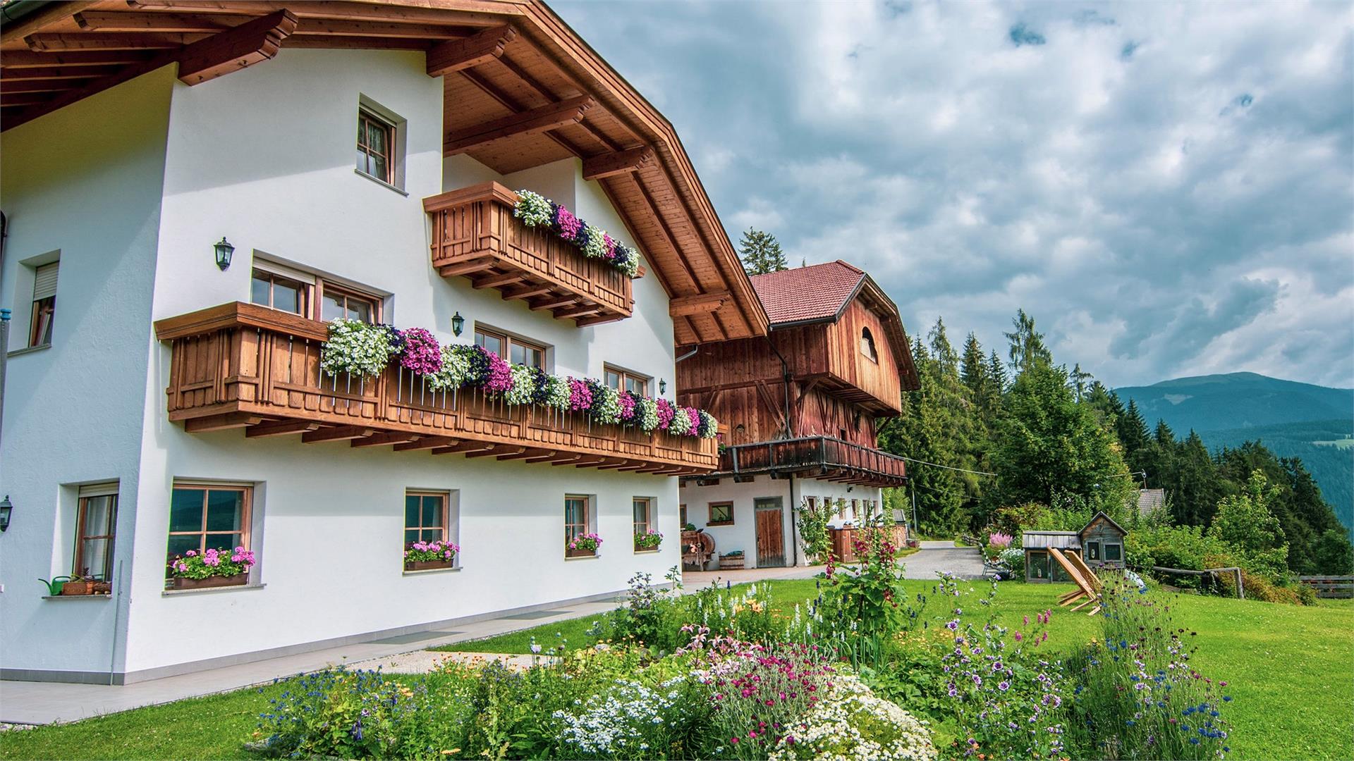 Kranebitterhof Olang 2 suedtirol.info