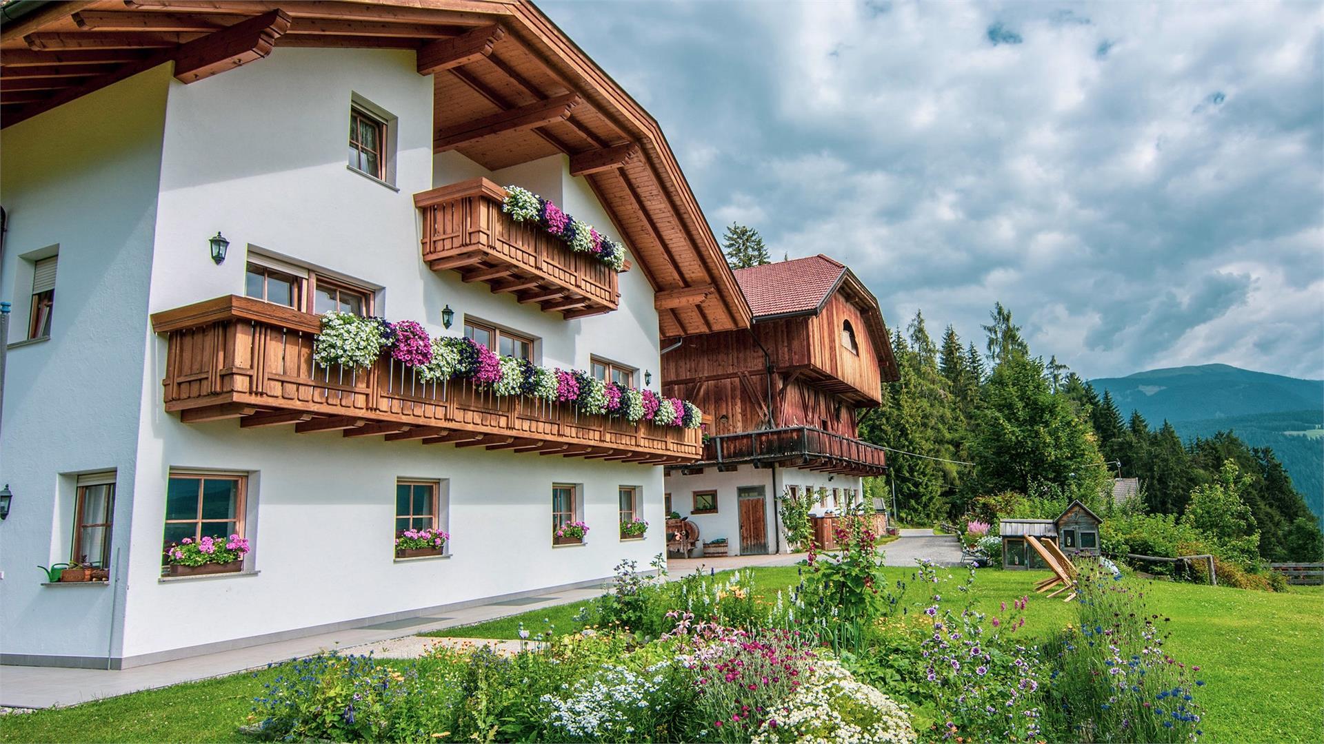 Kranebitterhof Olang 1 suedtirol.info