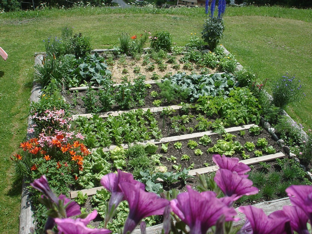giardino