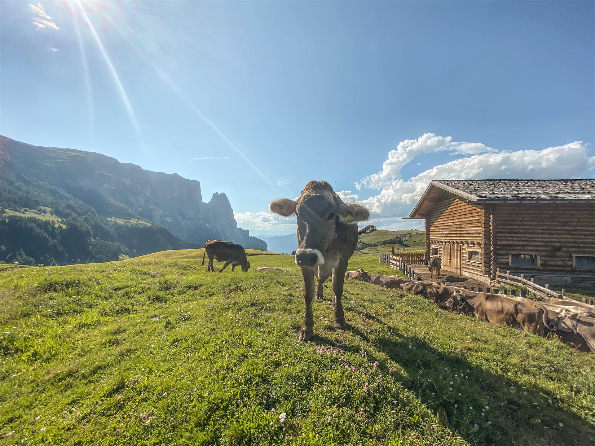 Kreuzerhof Kastelruth 17 suedtirol.info