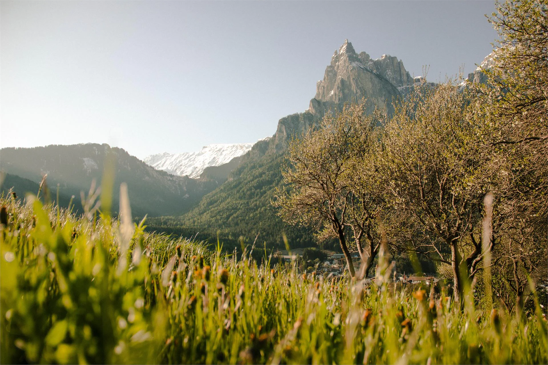 Maso Kreuzer Castelrotto 18 suedtirol.info