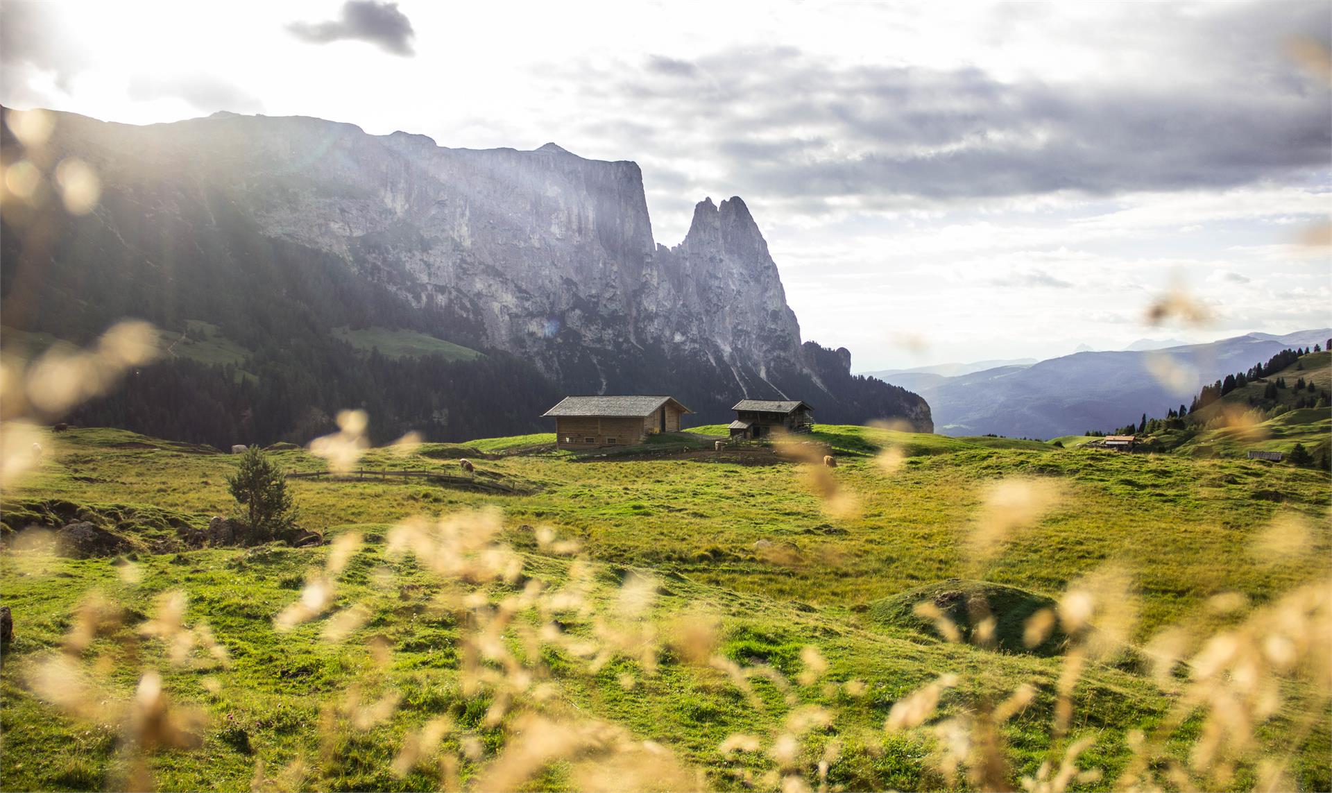 Kreuzerhof Kastelruth 14 suedtirol.info