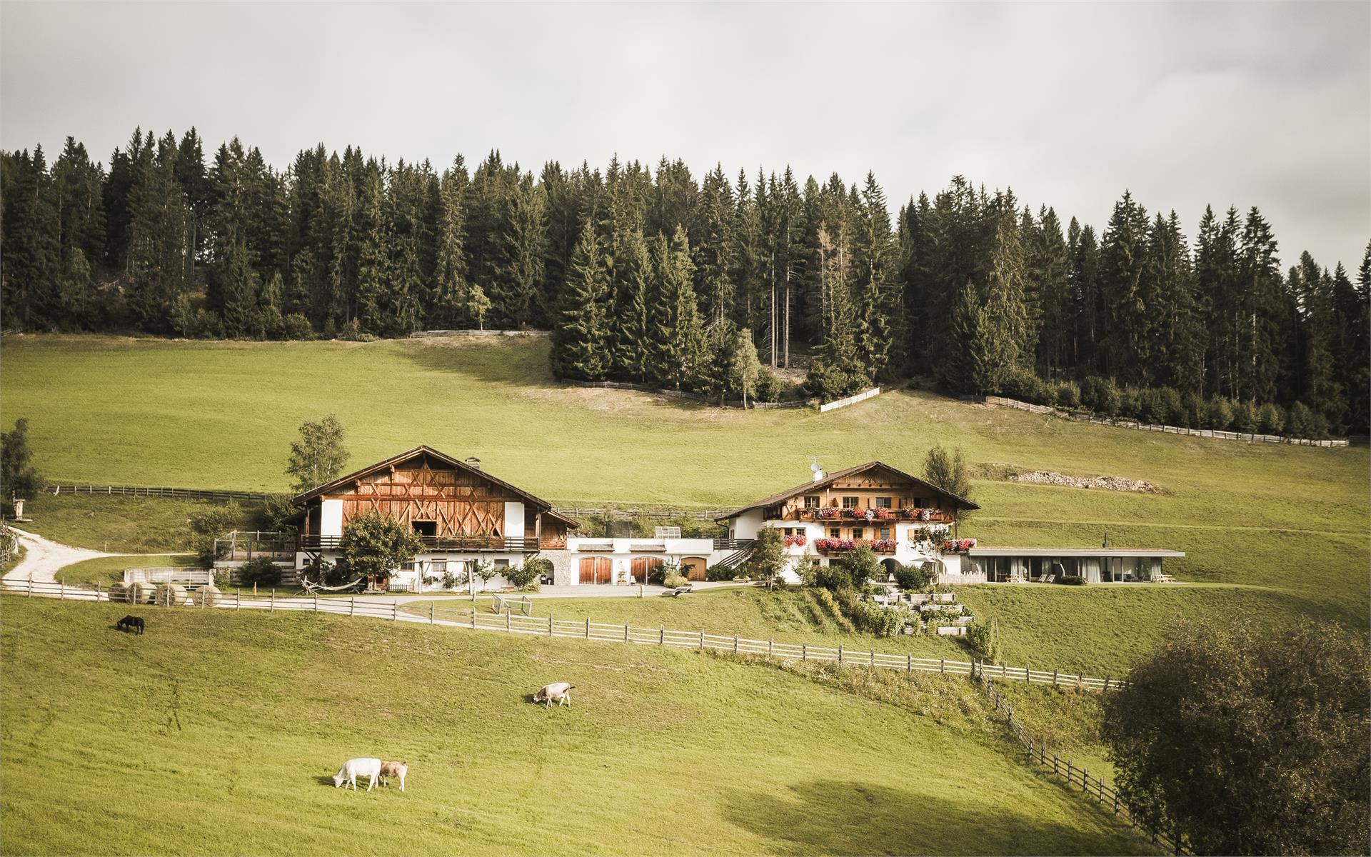 Karerhof Welschnofen/Nova Levante 28 suedtirol.info