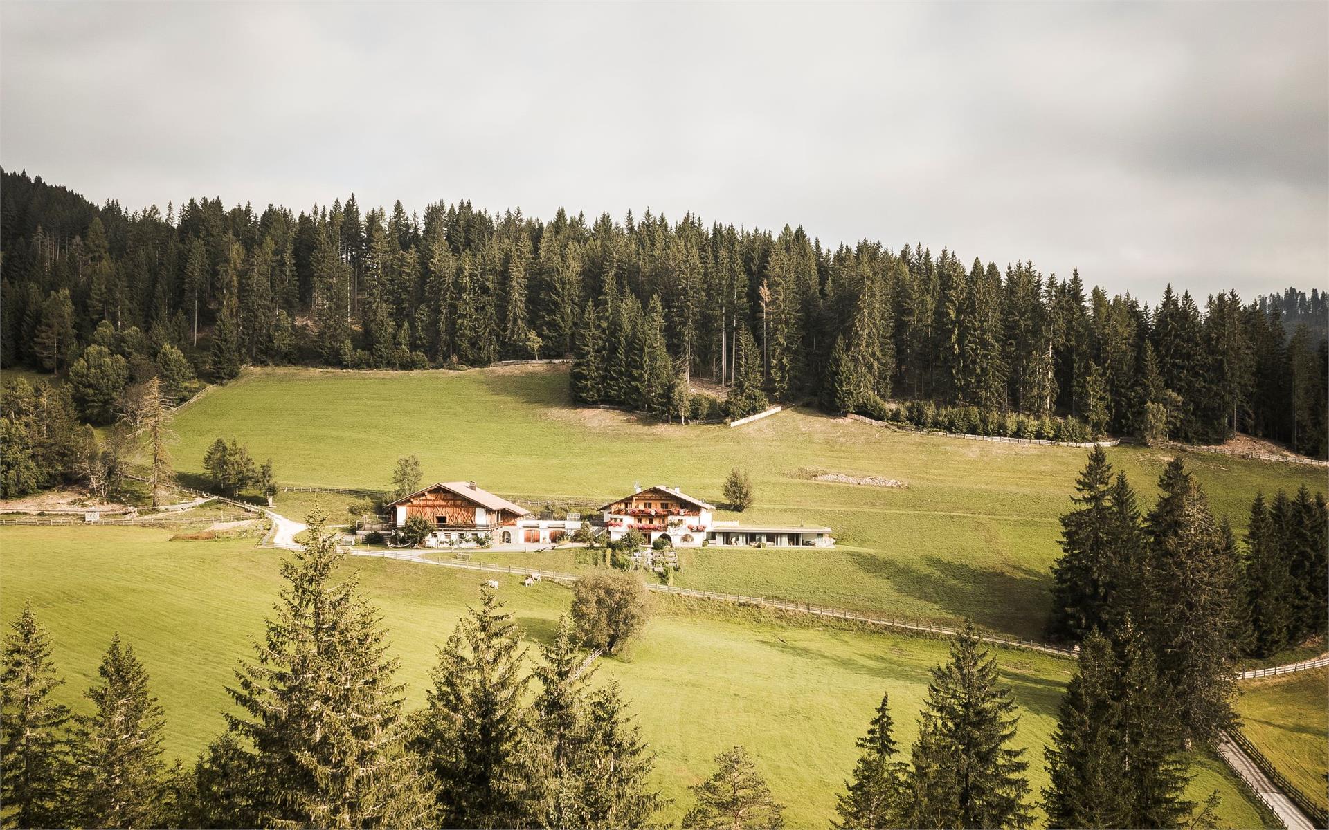 Karerhof Welschnofen/Nova Levante 11 suedtirol.info