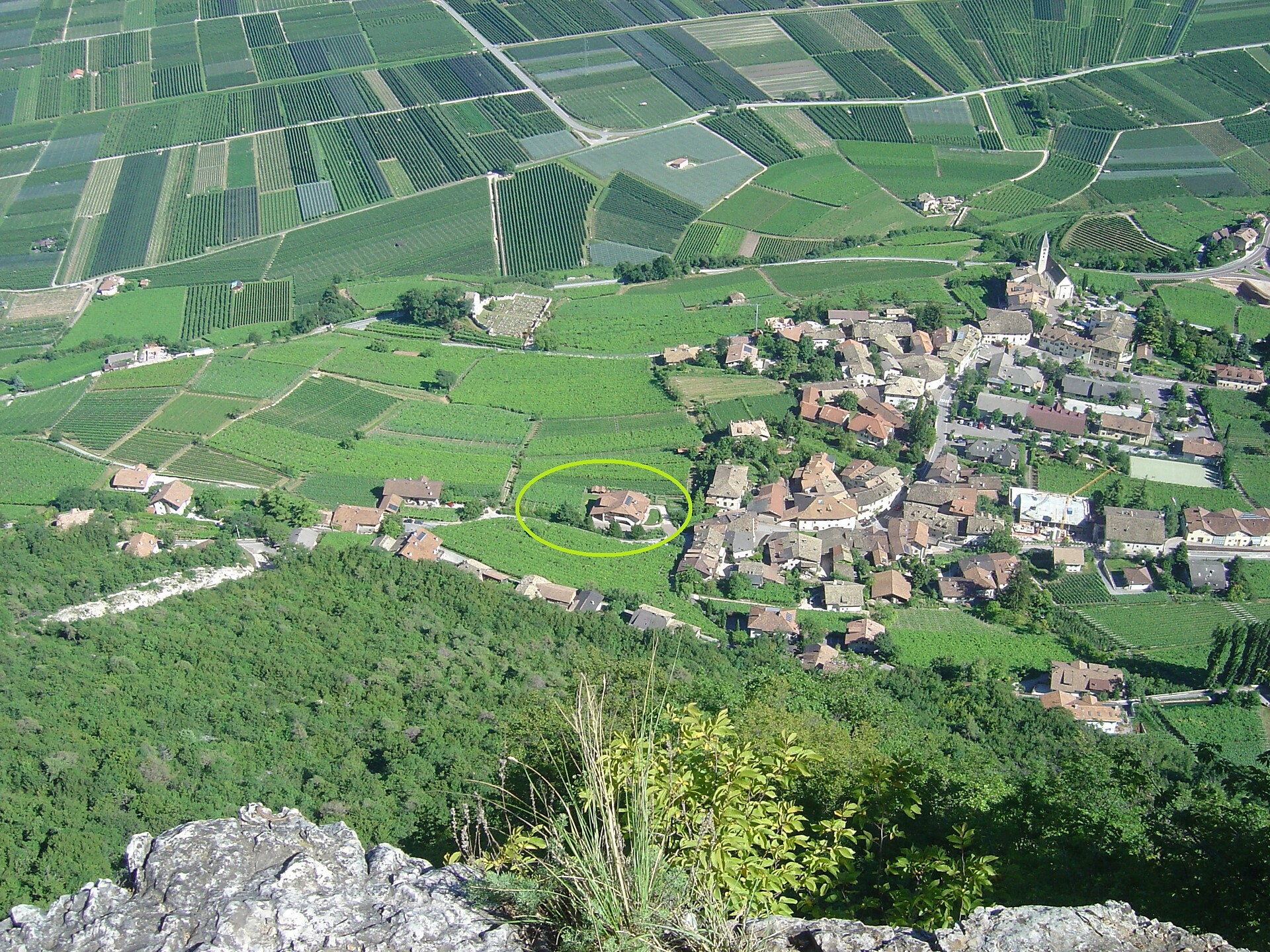 Il Maso Lindenhof in mezzo ai vigneti di Cortaccia